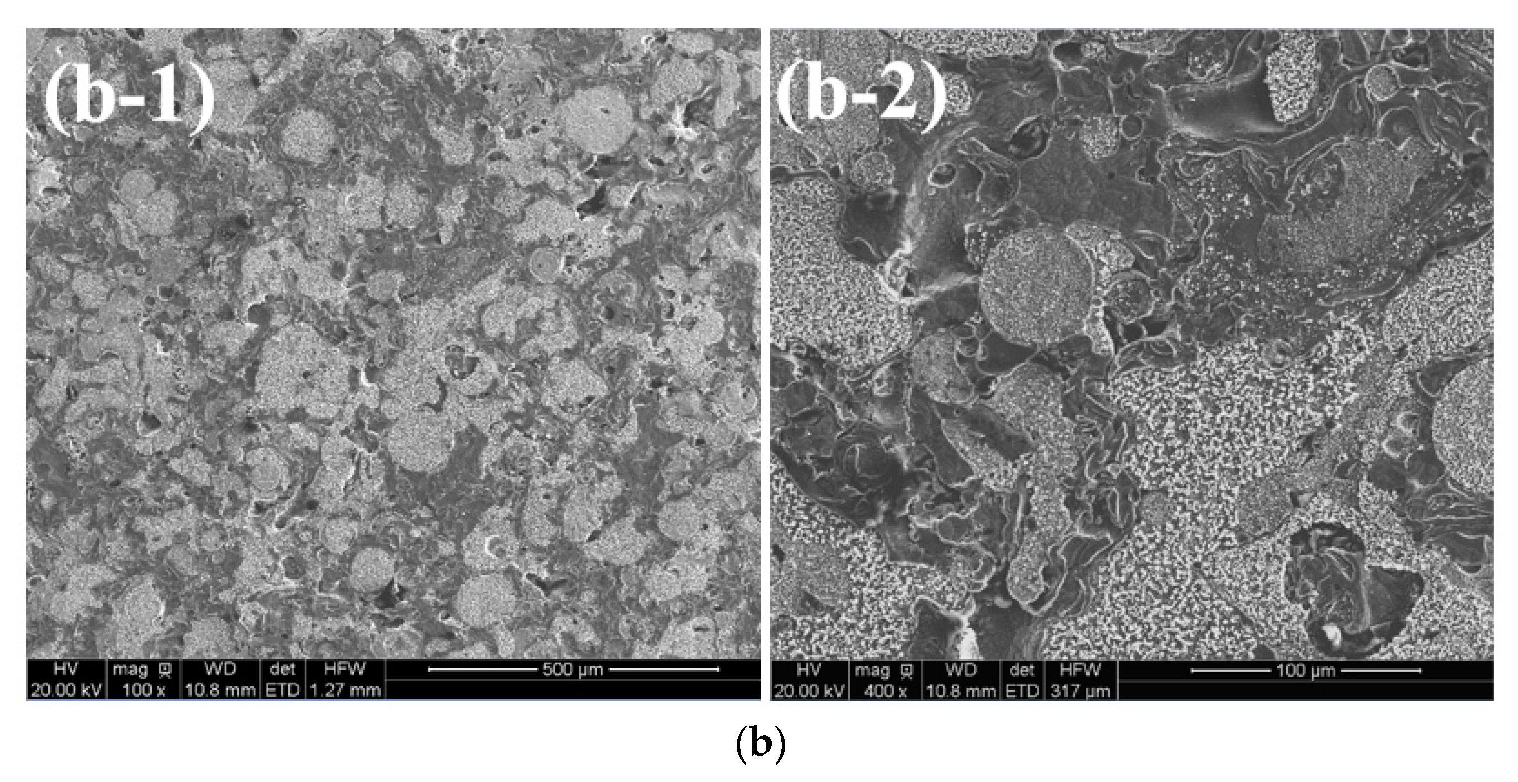 Coatings 11 00170 g004b Coatings 11 00170 g004b
