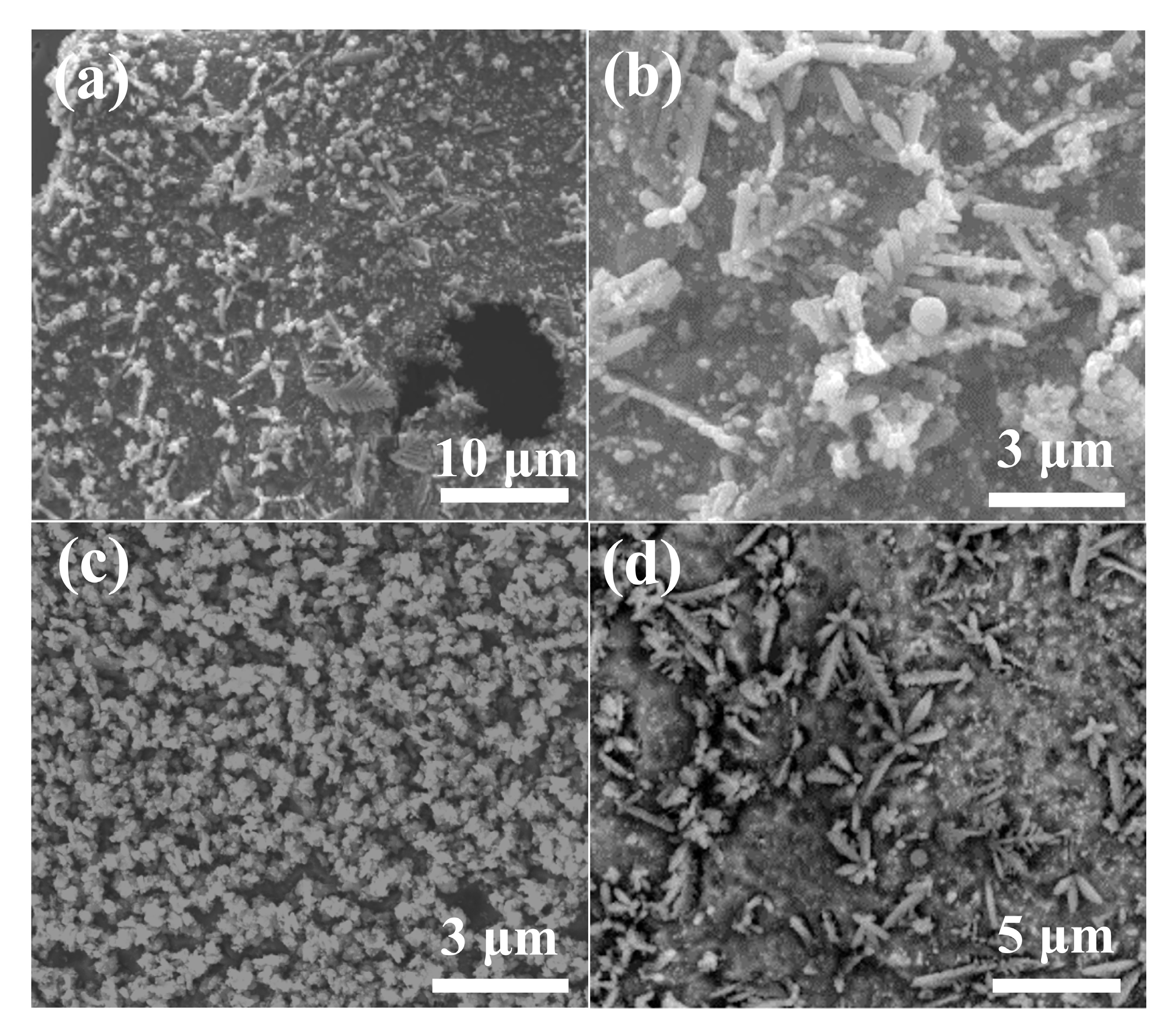 Coatings 11 00170 g005 Coatings 11 00170 g005