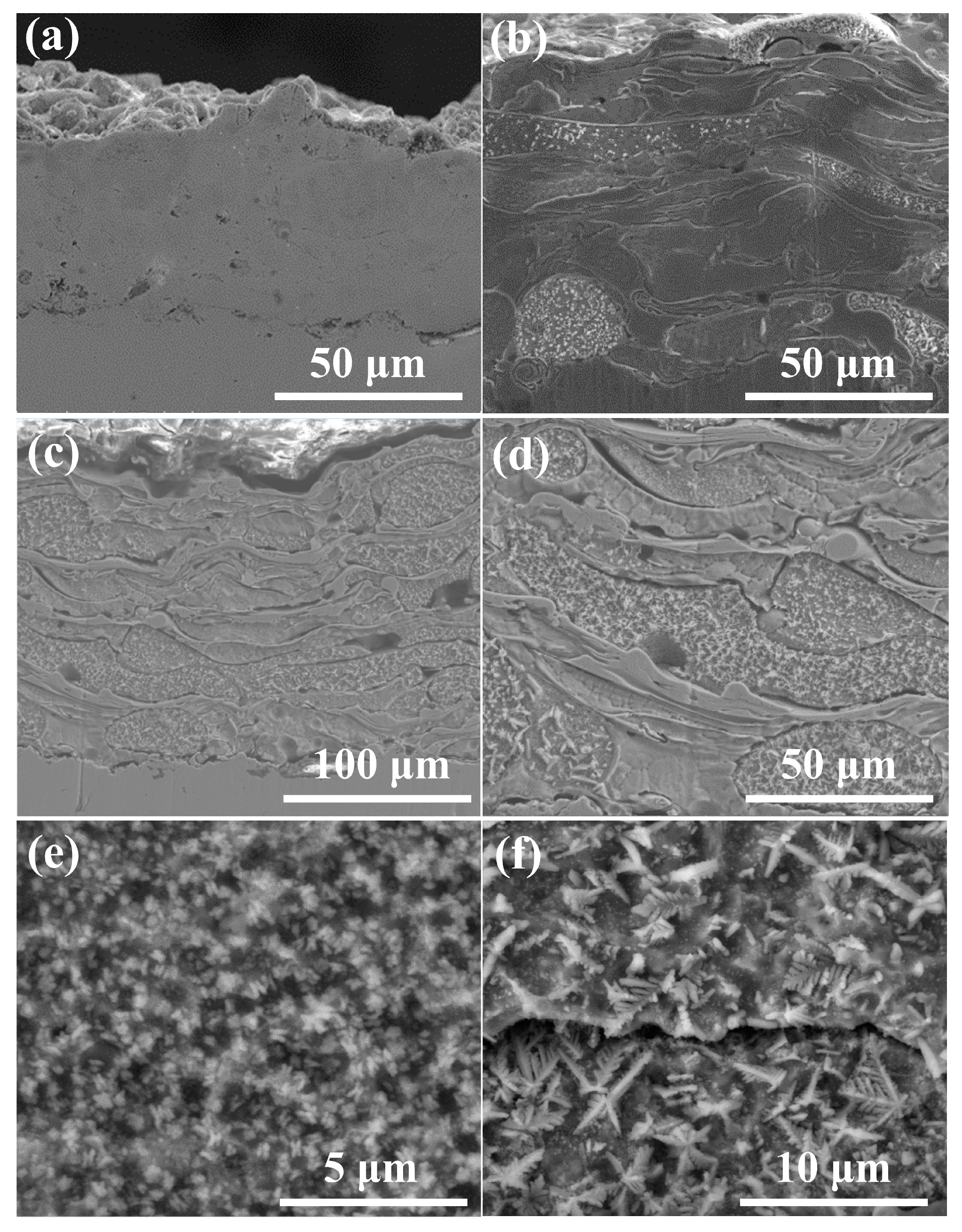 Coatings 11 00170 g006 Coatings 11 00170 g006