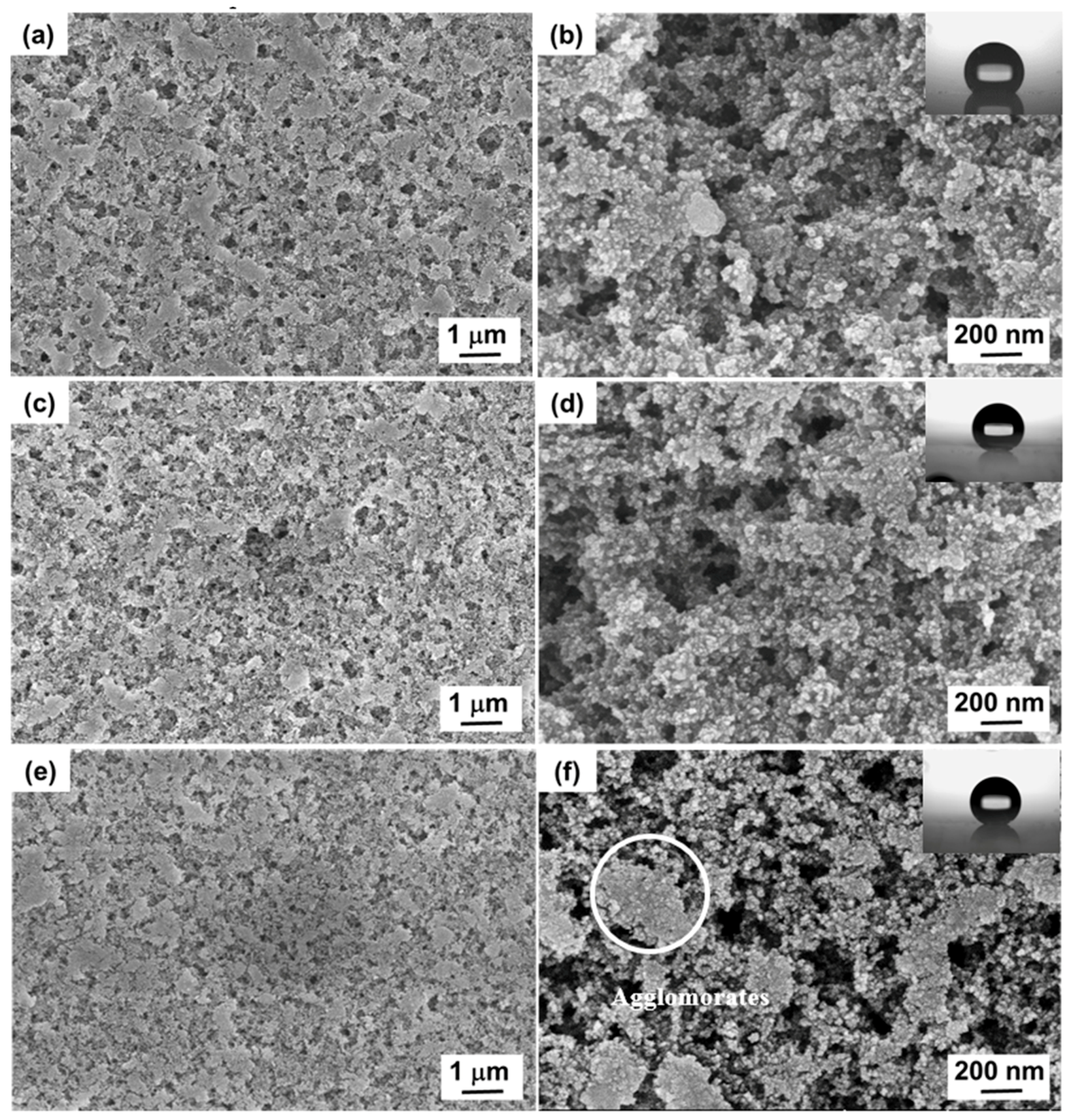 Coatings 11 00174 g002