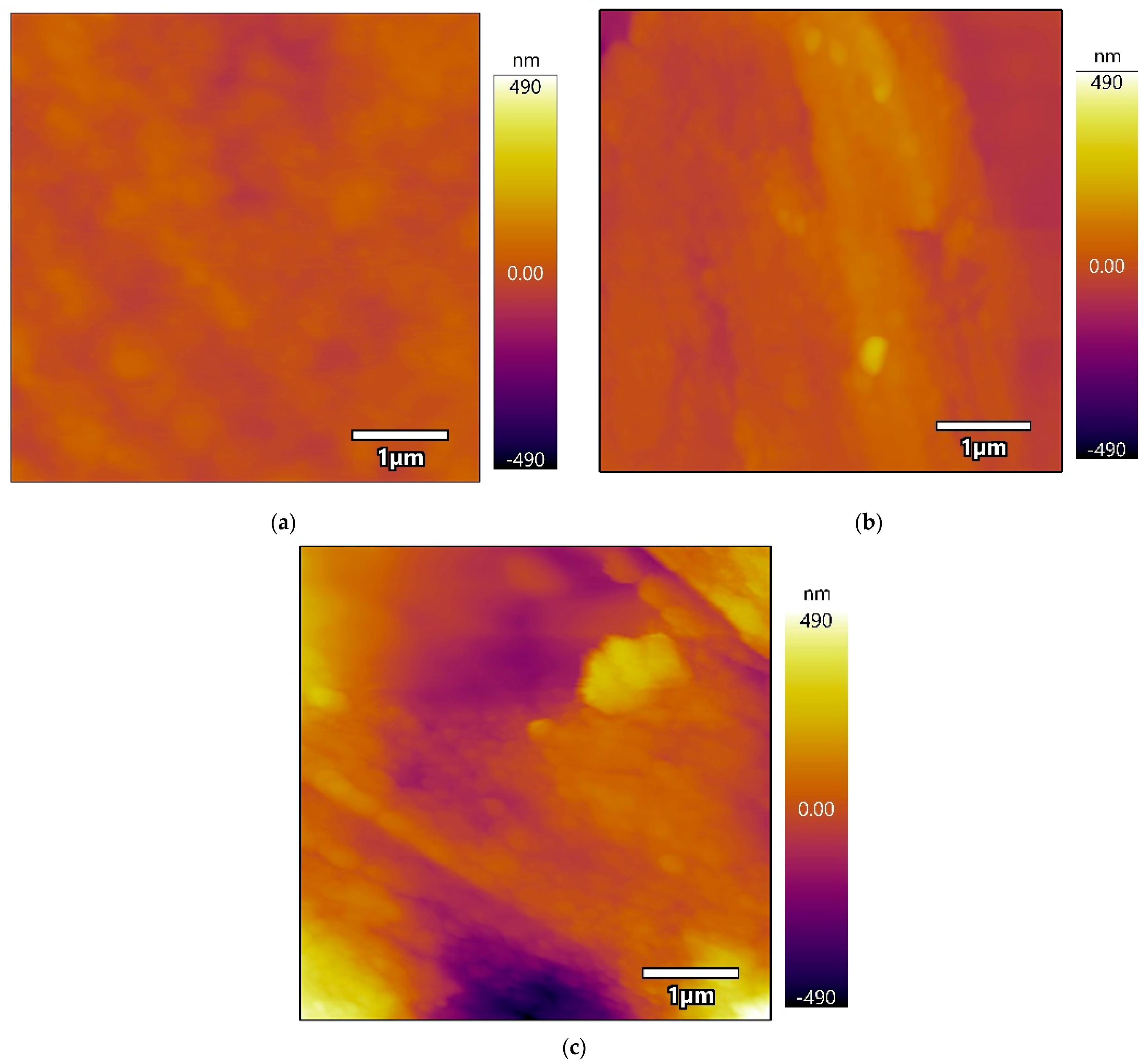 Coatings 11 00174 g005