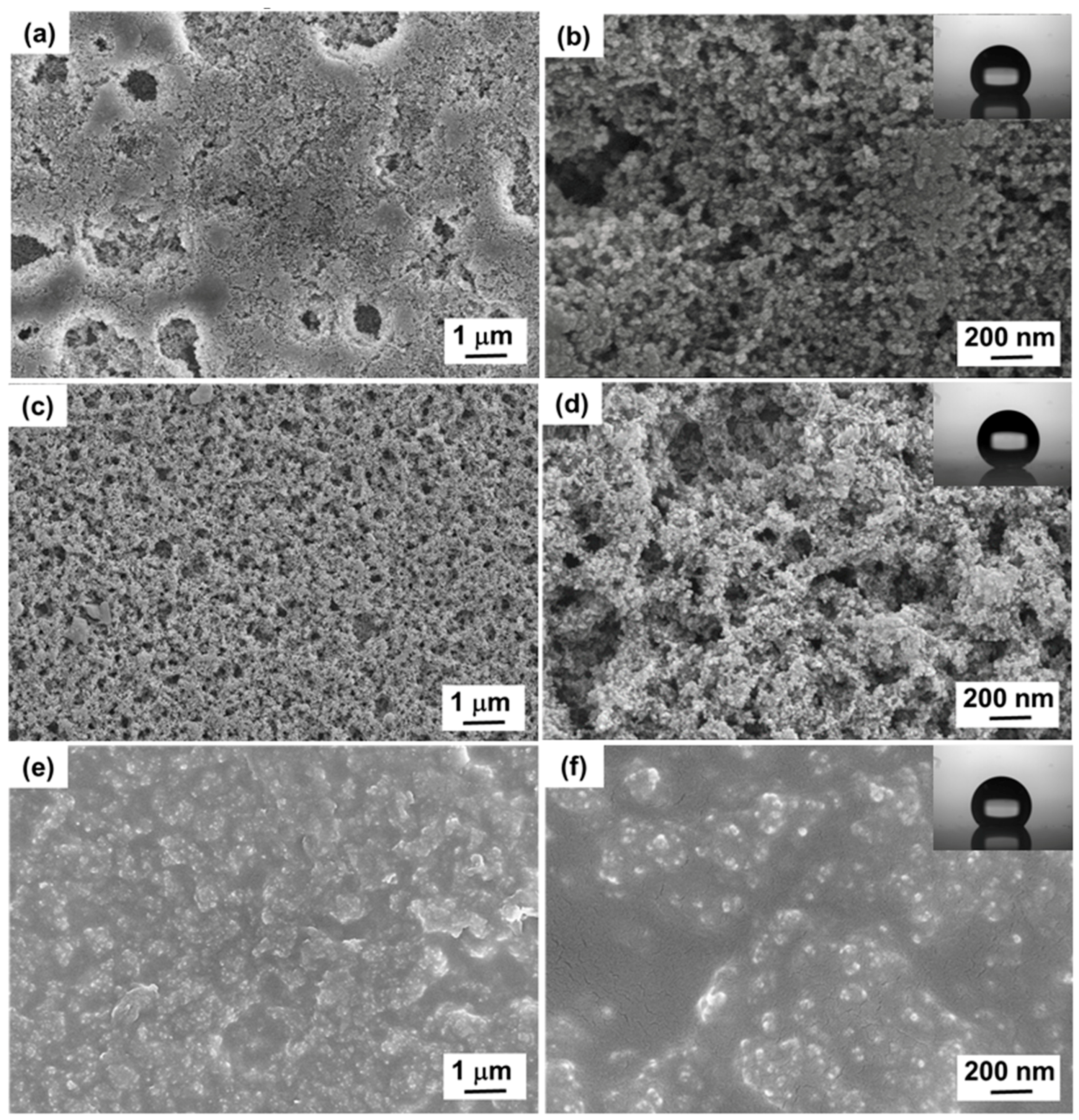 Coatings 11 00174 g007