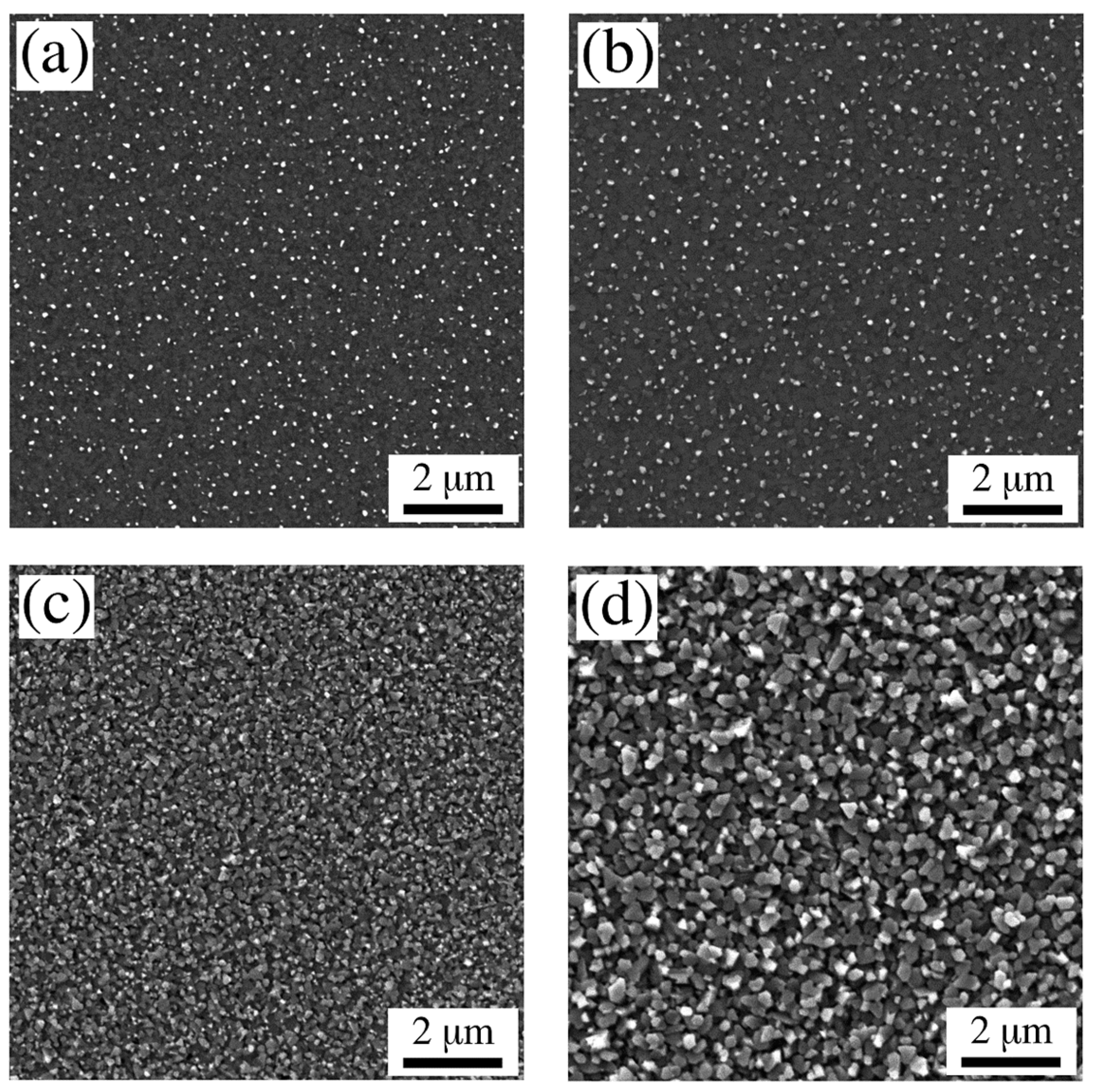 Coatings 11 00175 g002