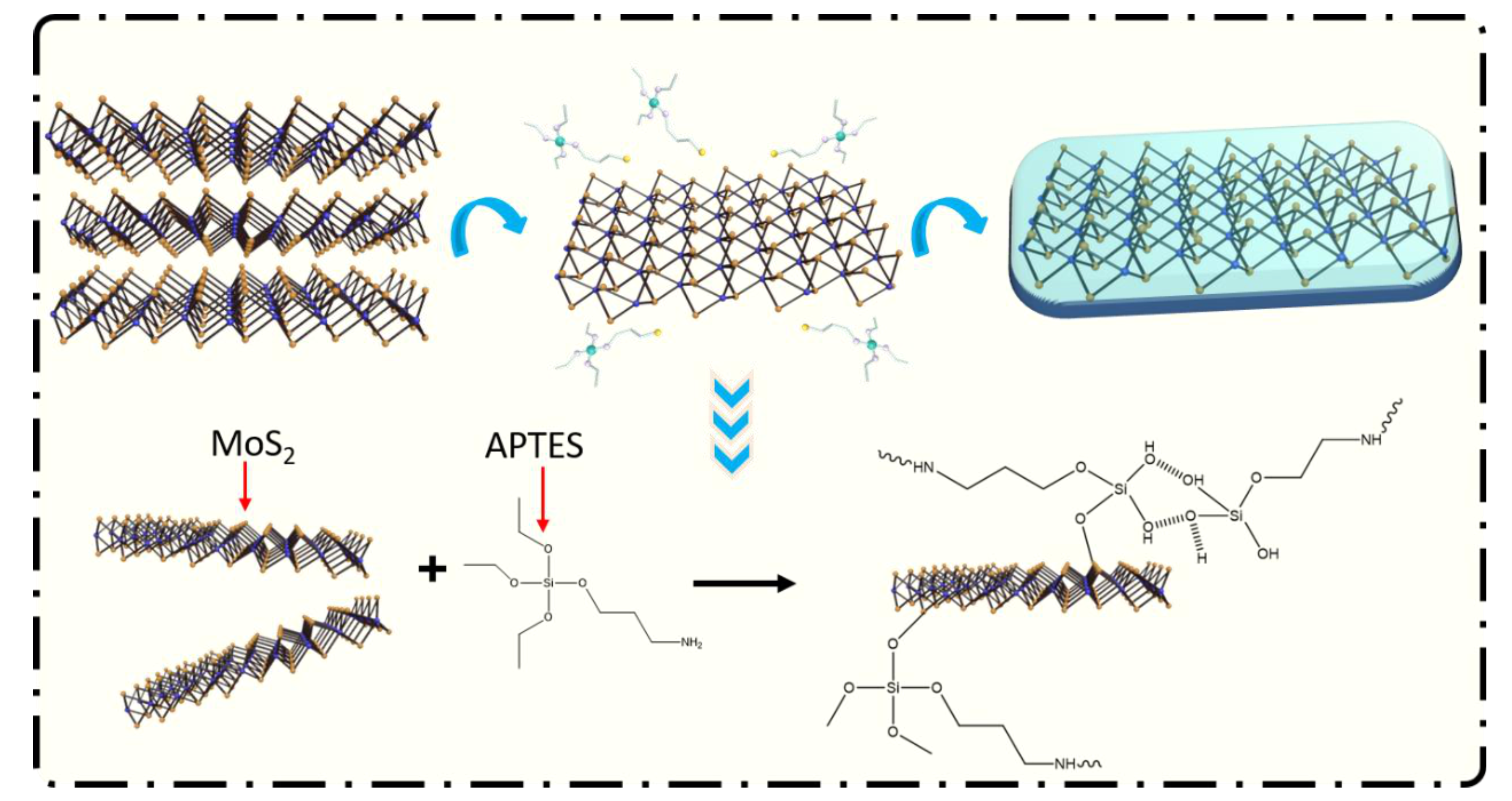 Coatings 11 00178 g001
