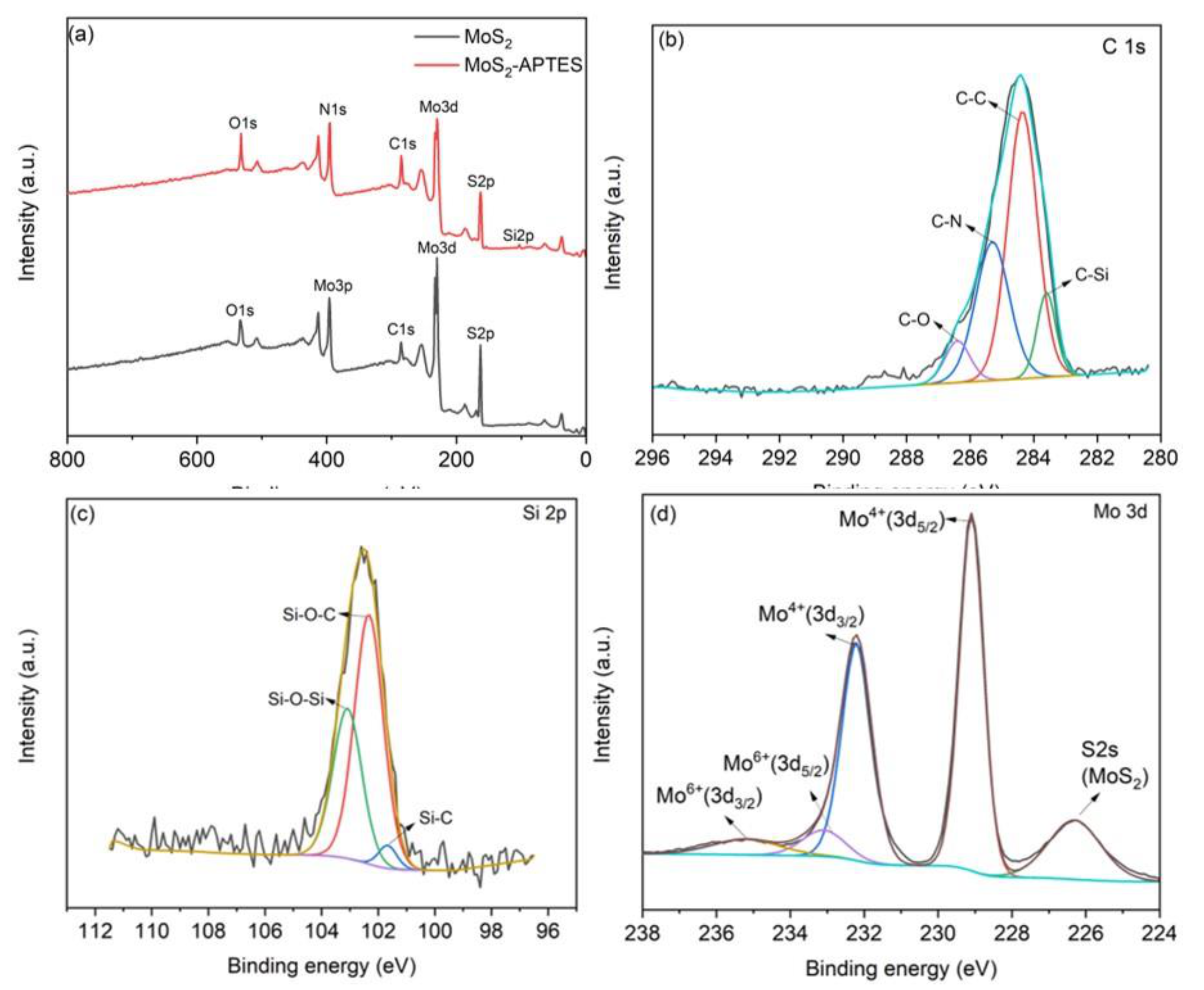 Coatings 11 00178 g004