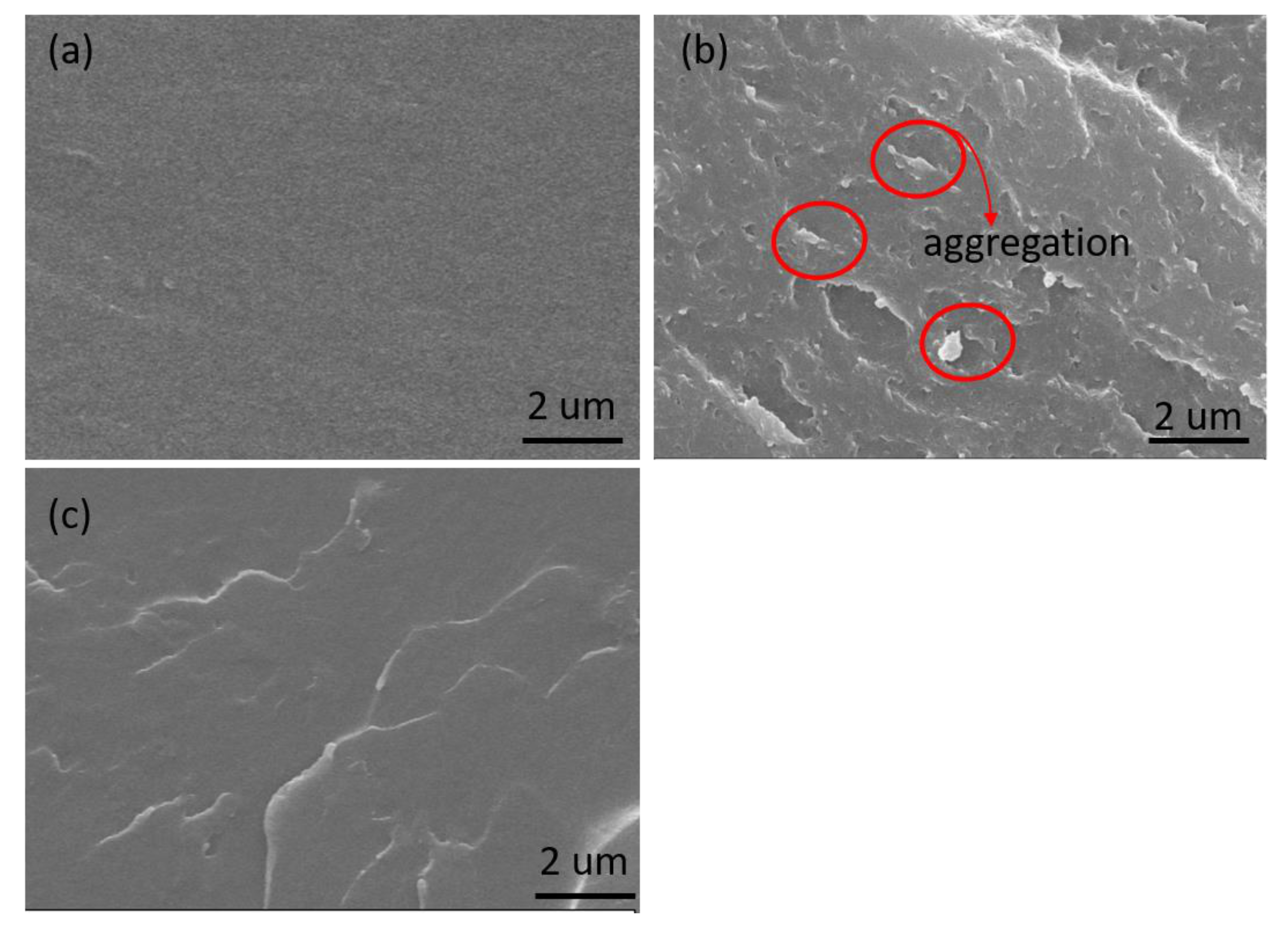 Coatings 11 00178 g006