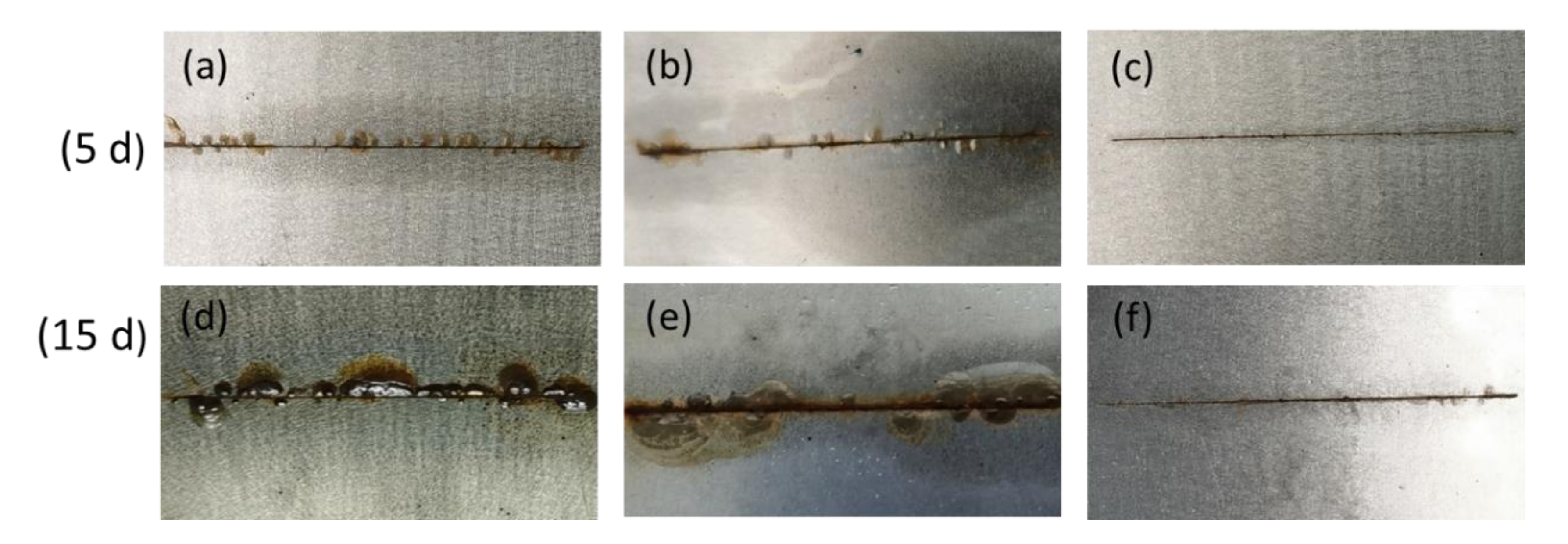 Coatings 11 00178 g010