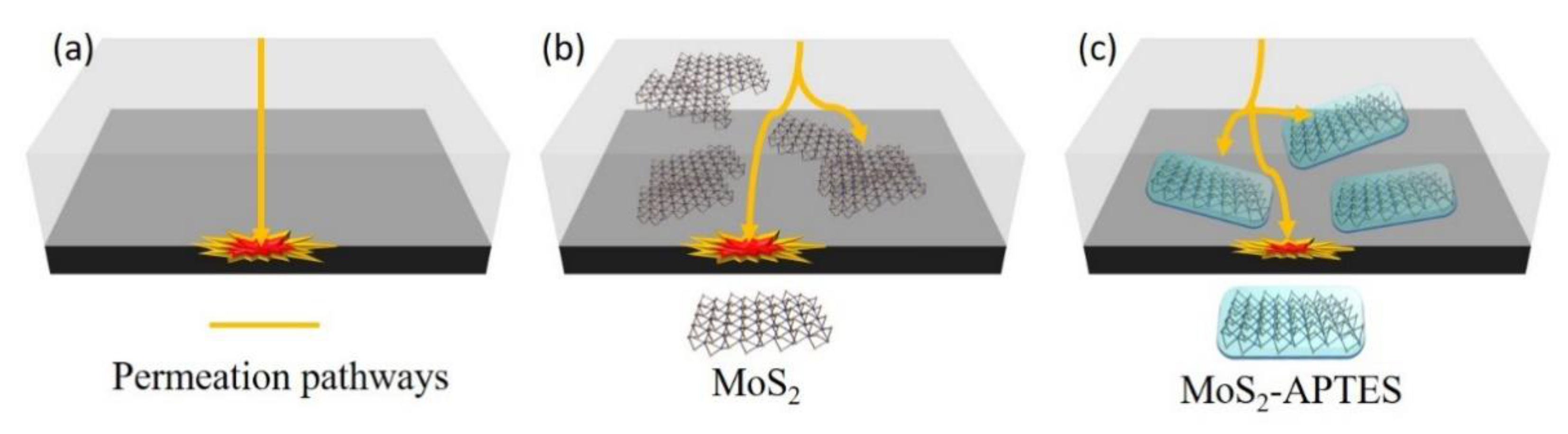 Coatings 11 00178 g011