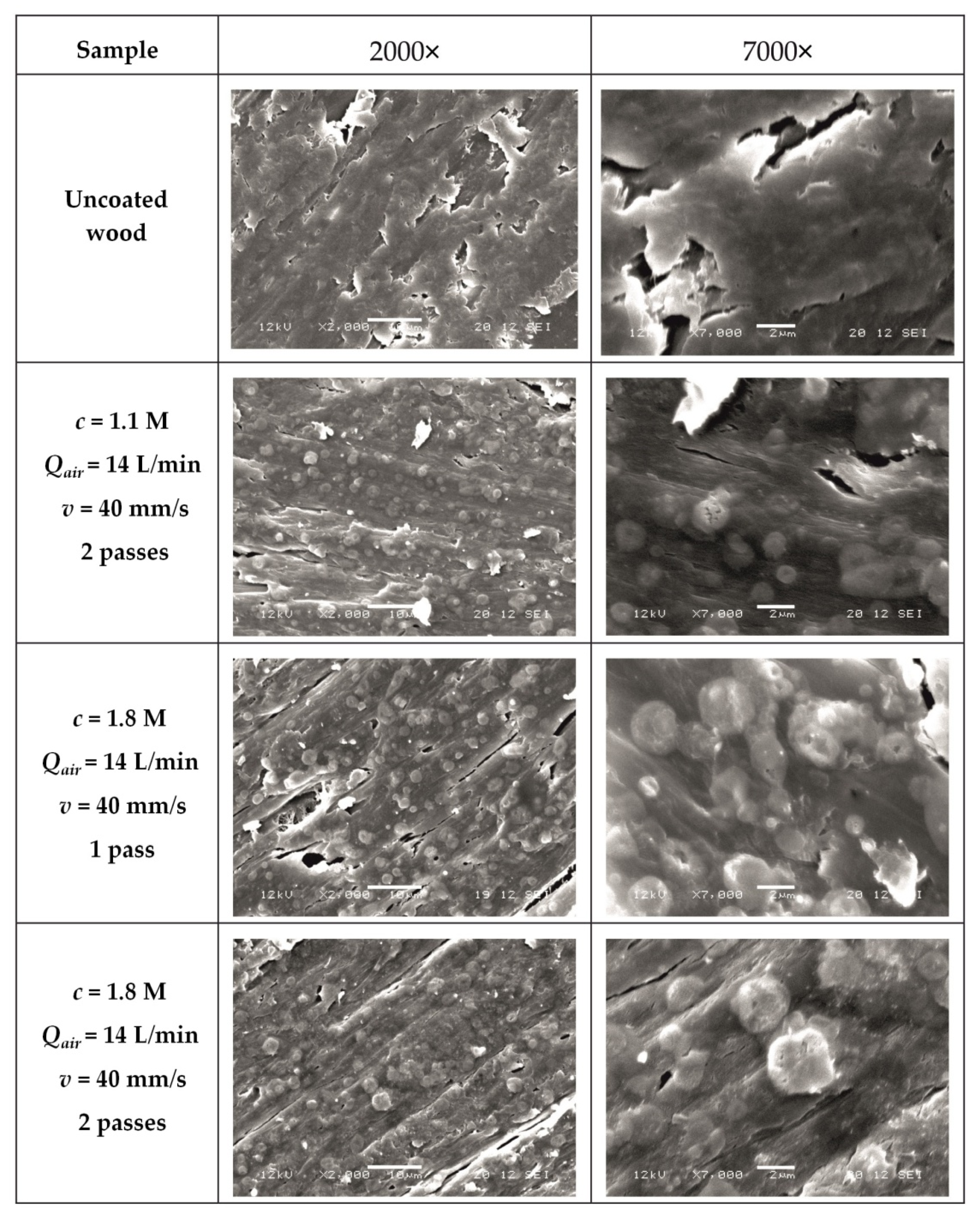 Coatings 11 00183 g001