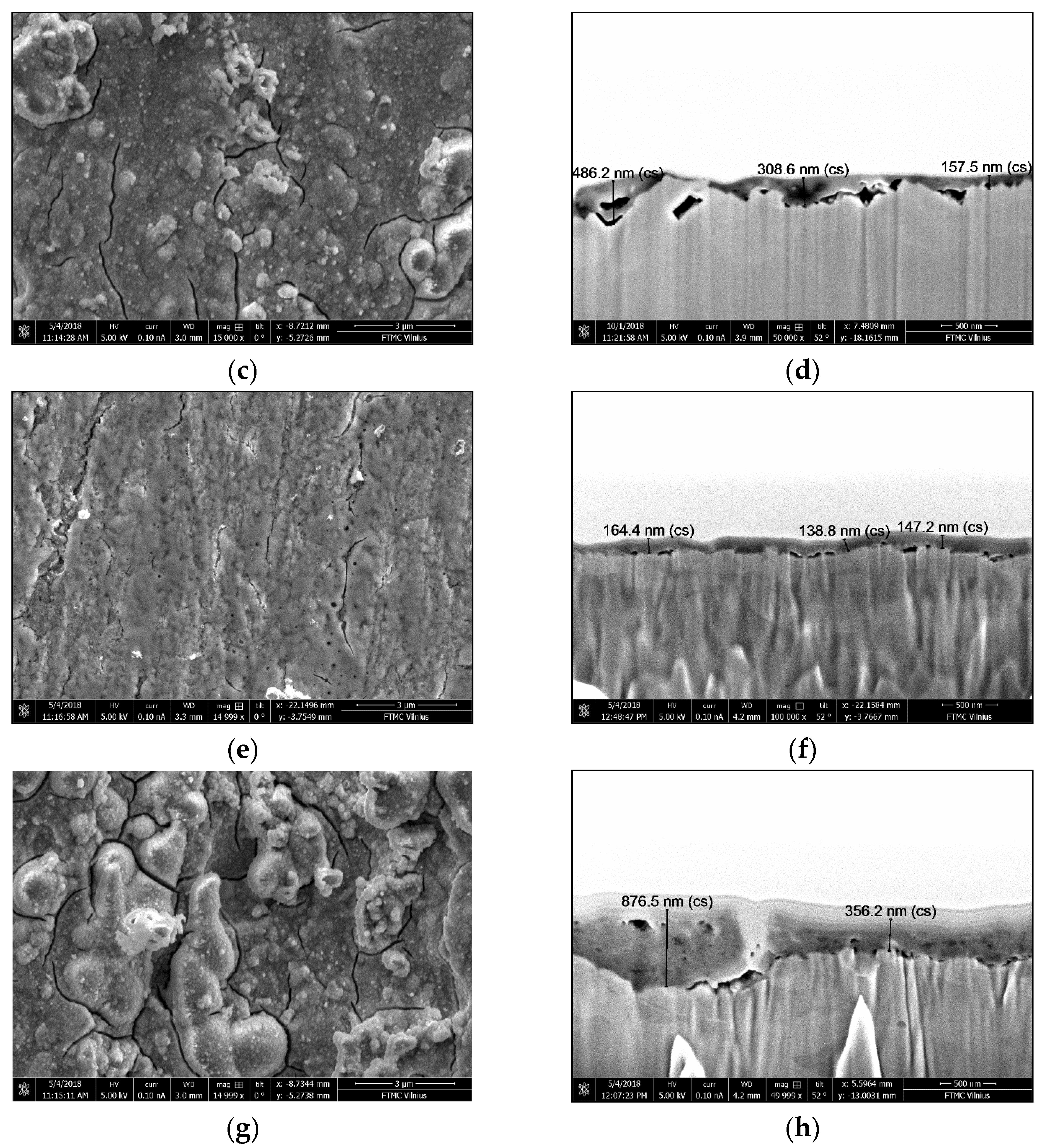 Coatings 11 00194 g002b
