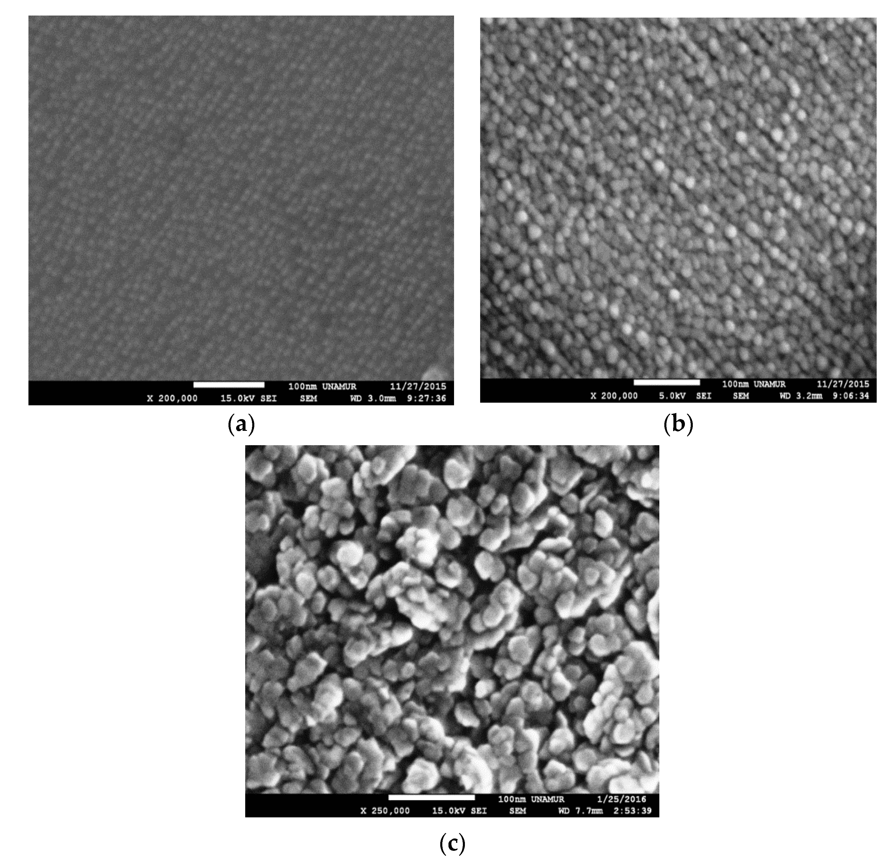 Coatings 11 00202 g004 Coatings 11 00202 g004