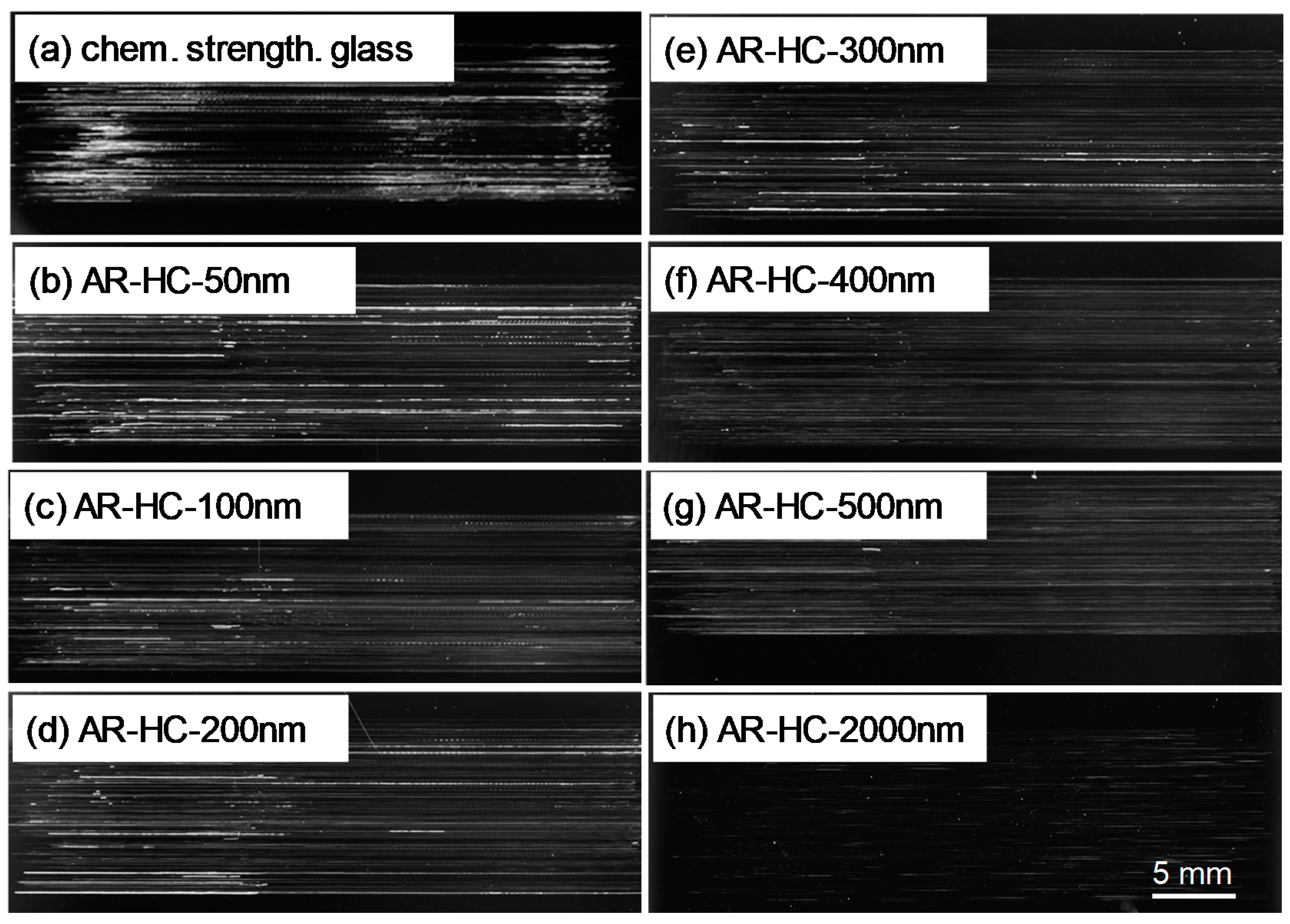 Coatings 11 00213 g010