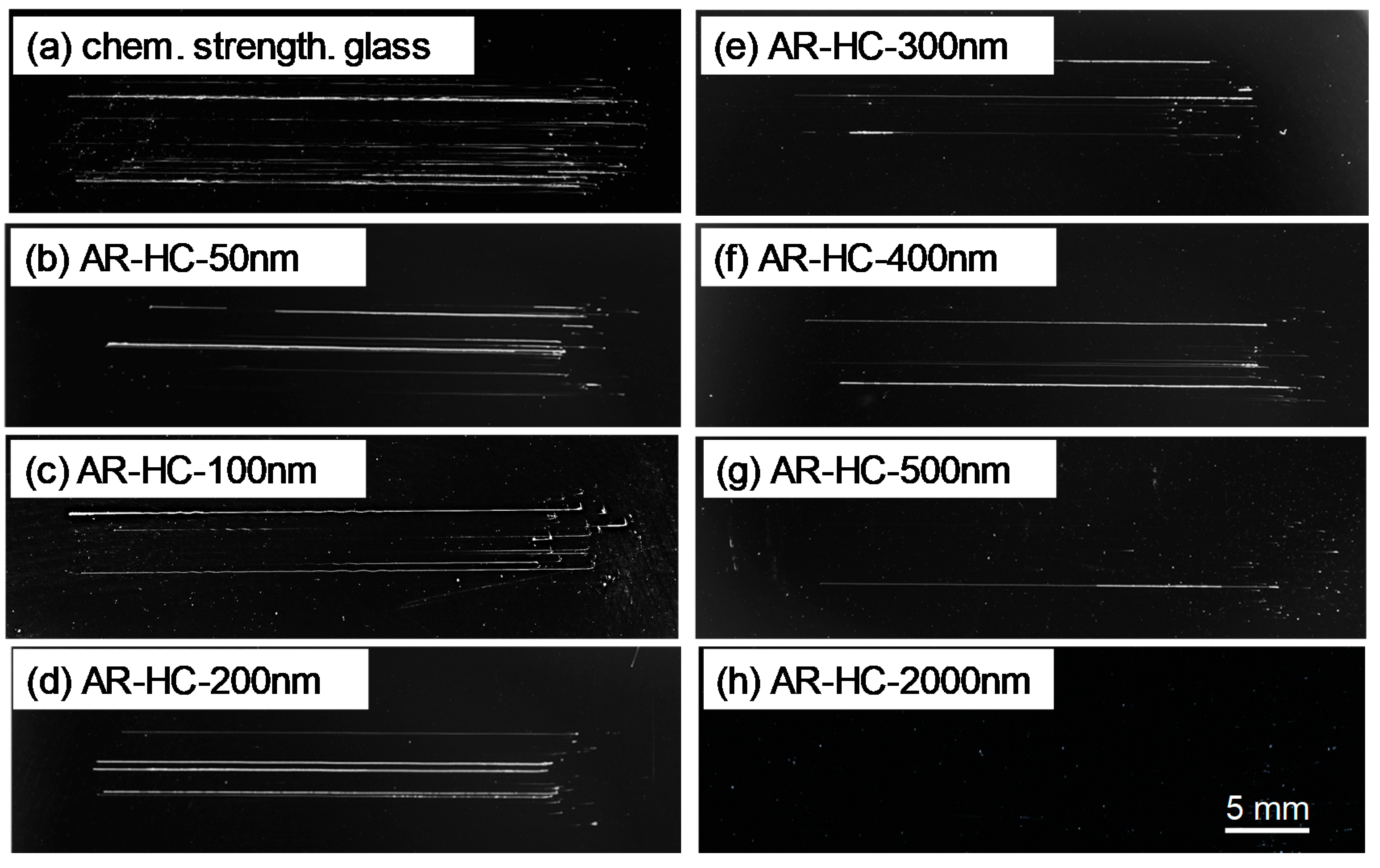 Coatings 11 00213 g012