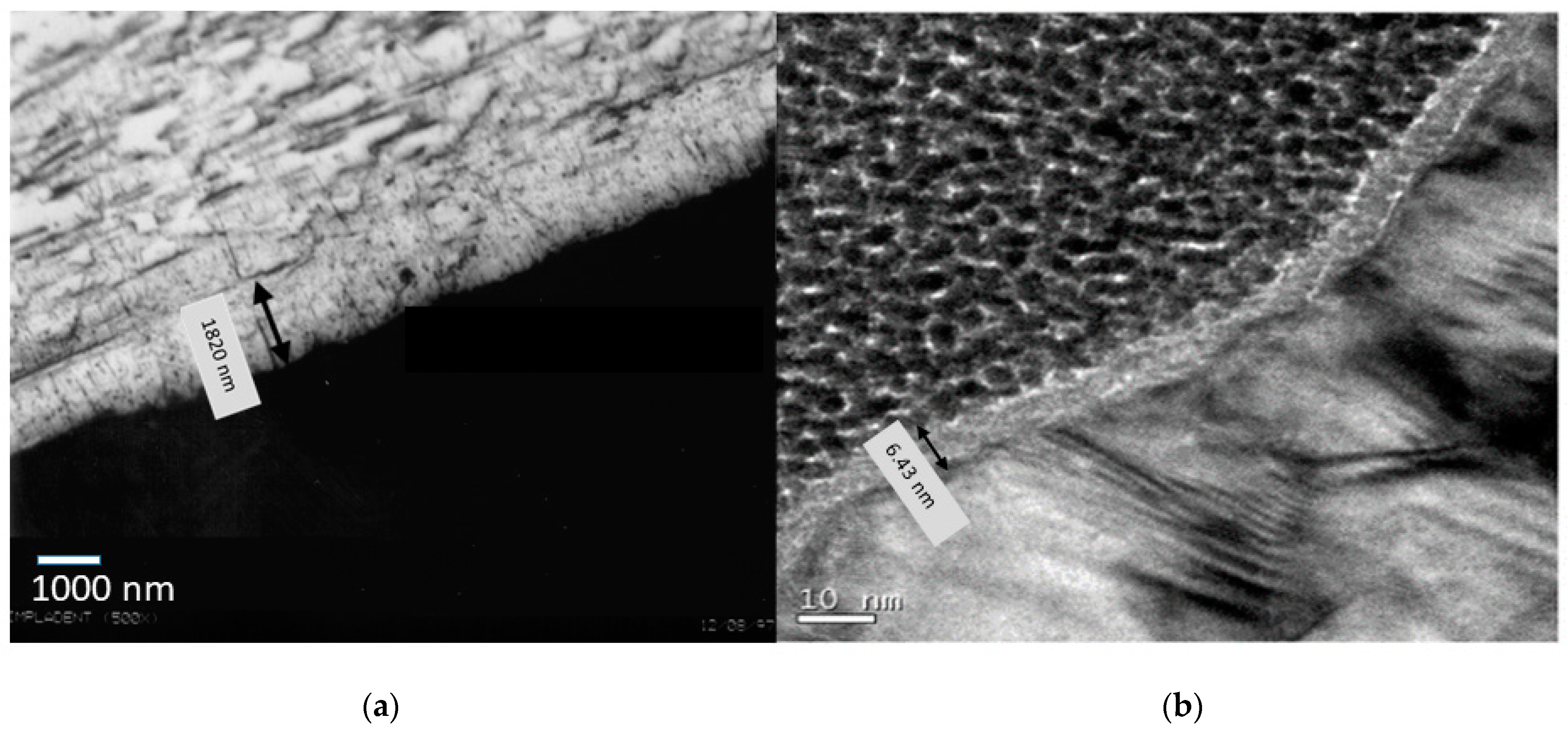 Coatings 11 00214 g001