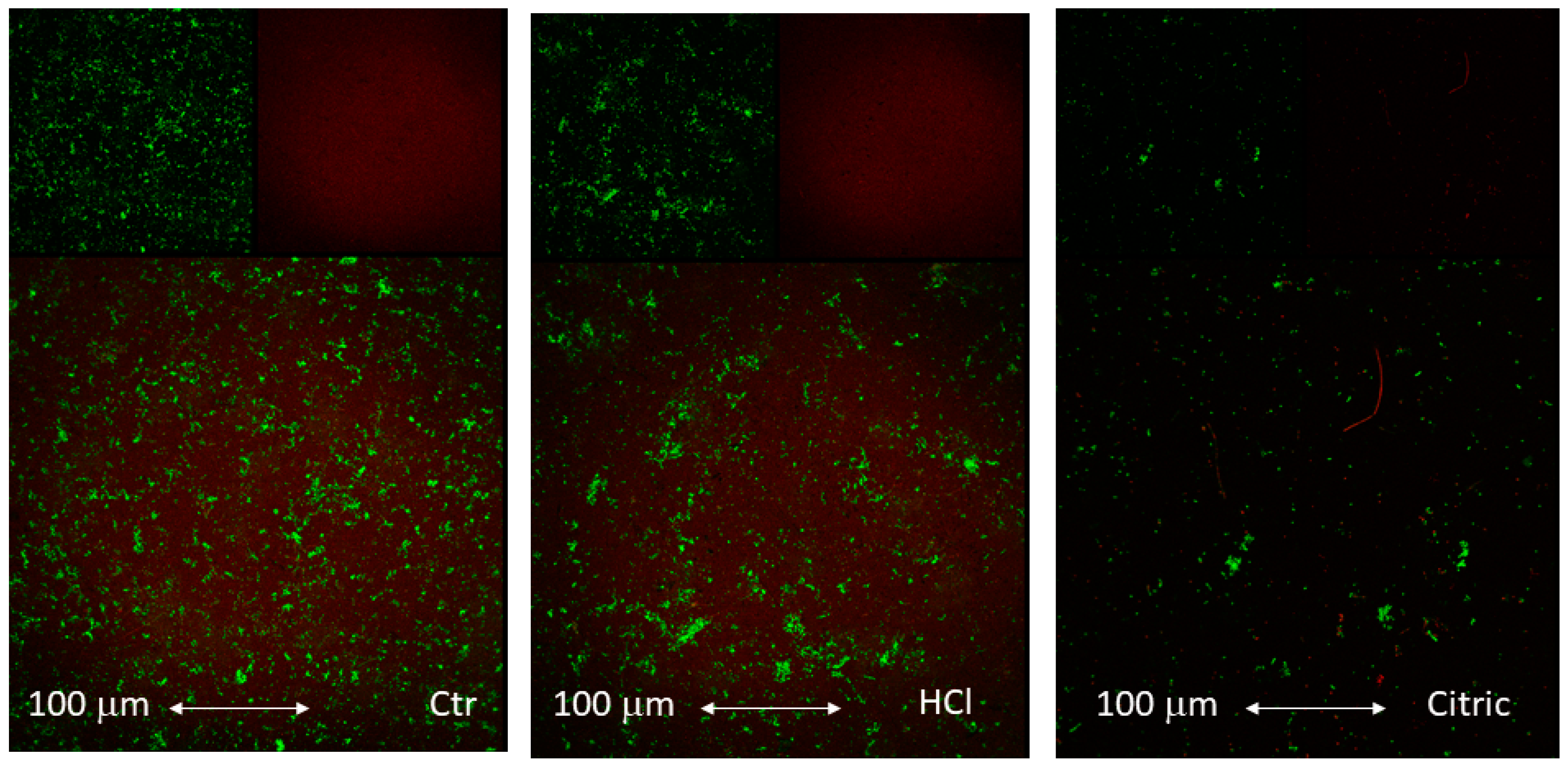 Coatings 11 00214 g005