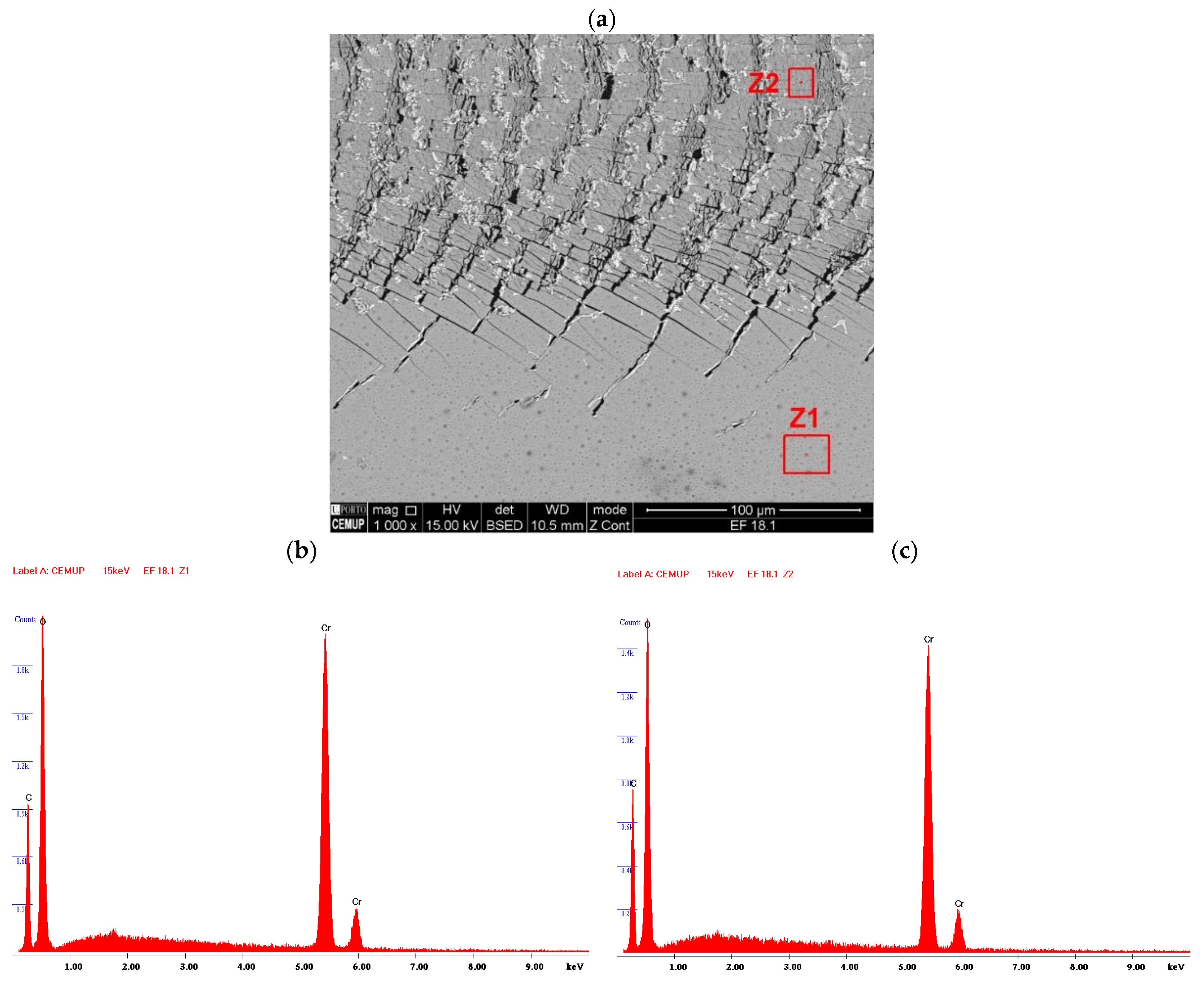 Coatings 11 00215 g009 Coatings 11 00215 g009