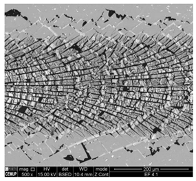 Coatings 11 00215 i003