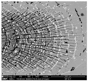 Coatings 11 00215 i004