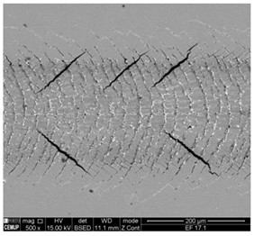 Coatings 11 00215 i005