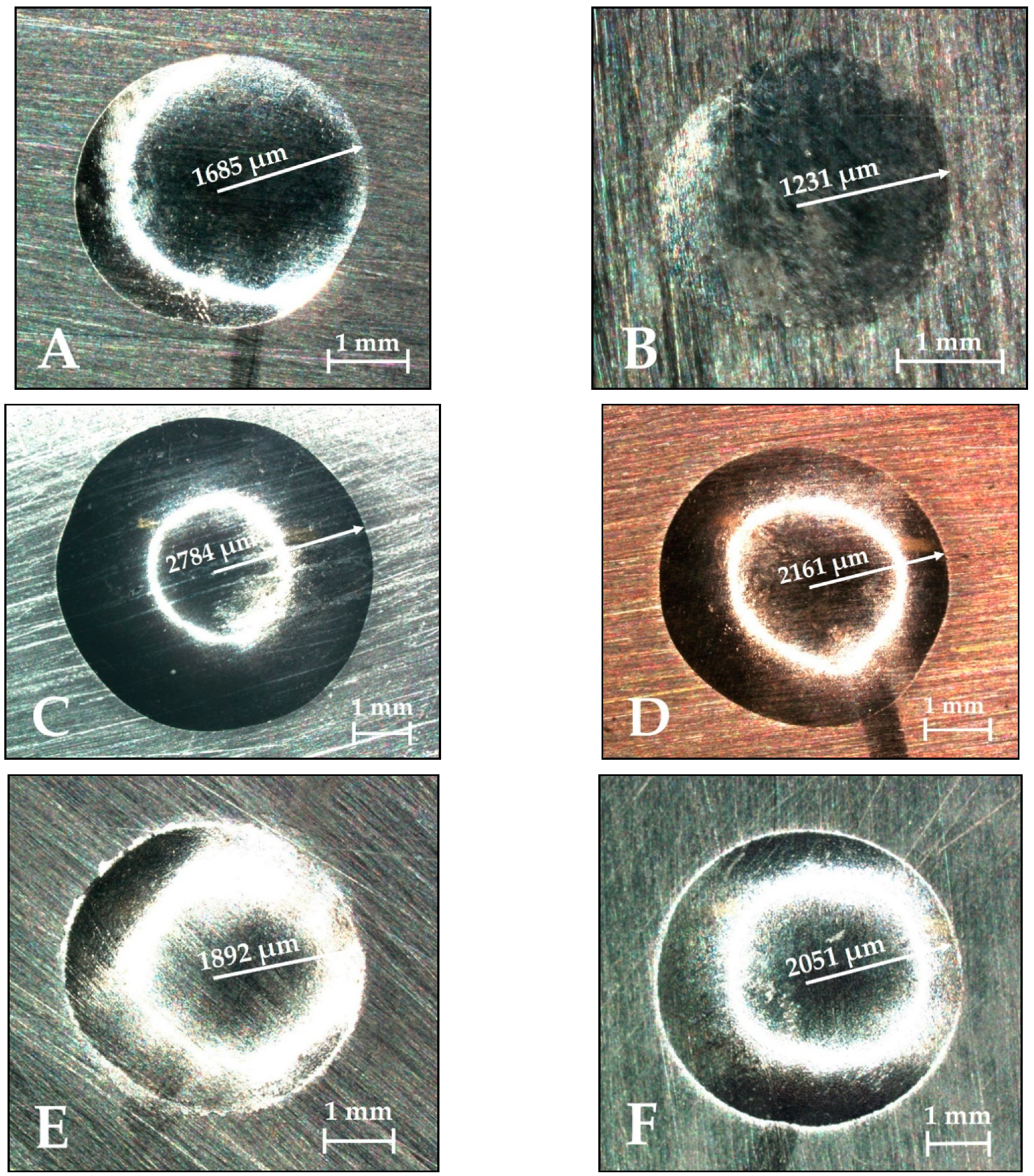 Coatings 11 00216 g005