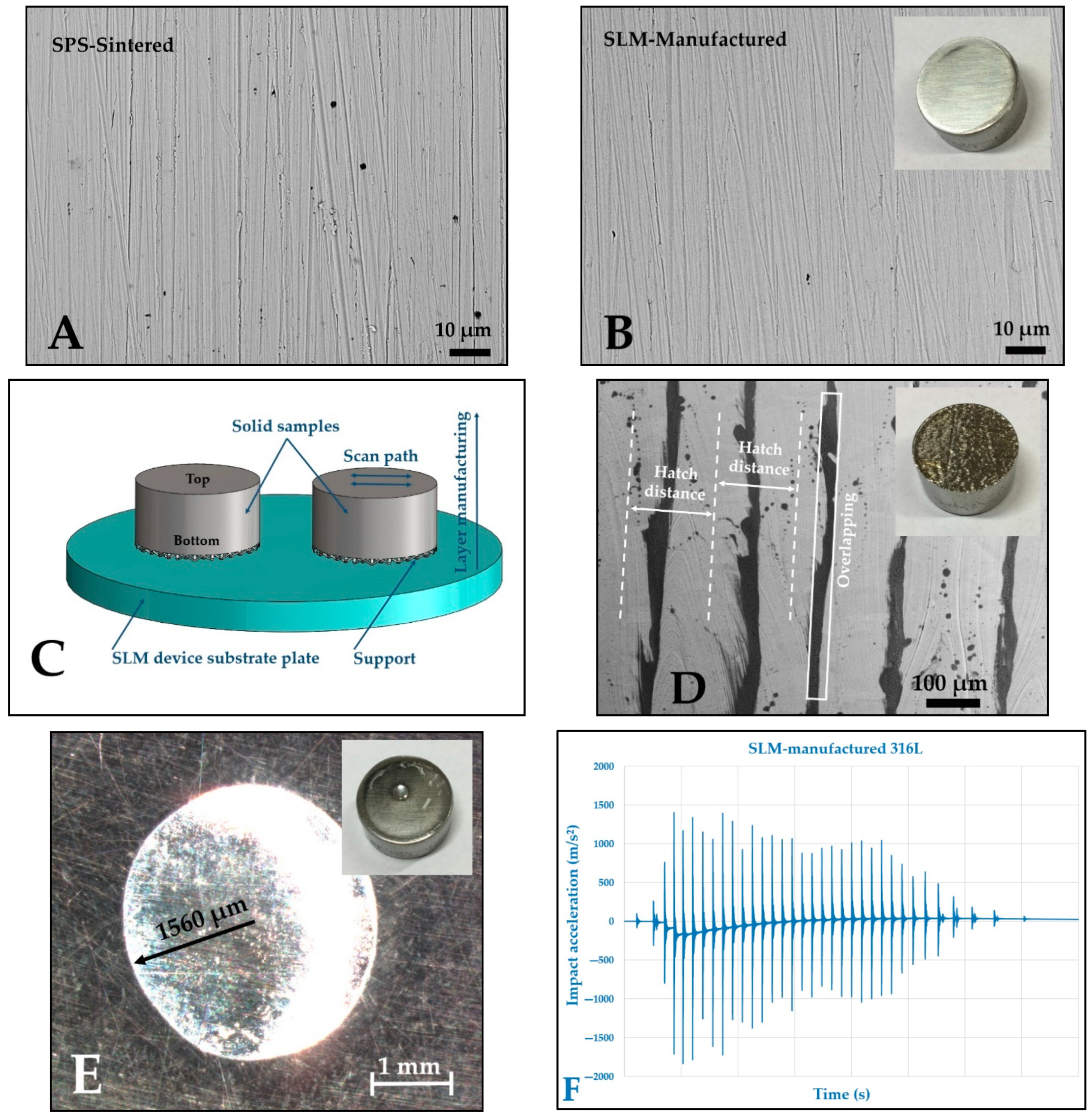 Coatings 11 00216 g007