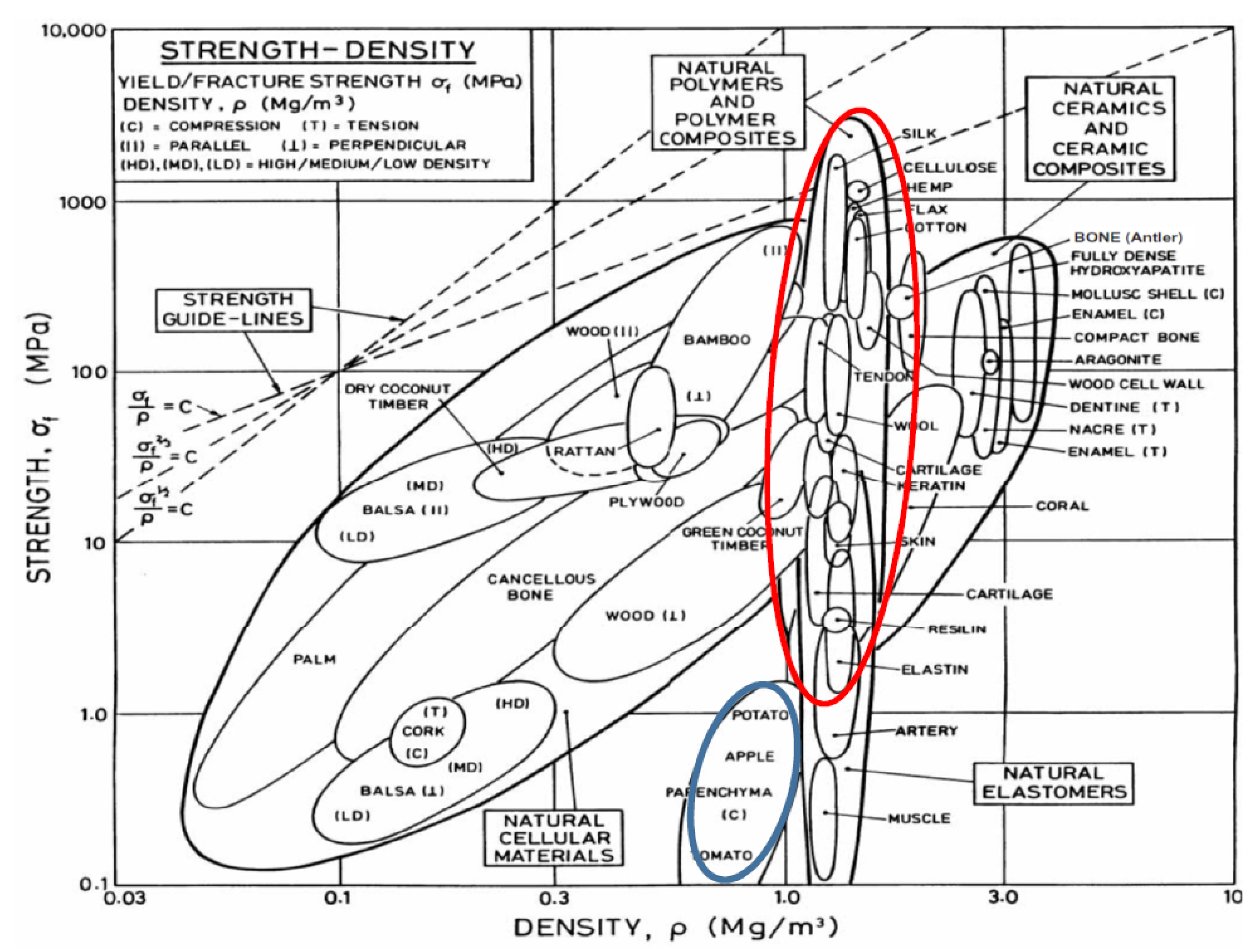 Coatings 11 00226 g004