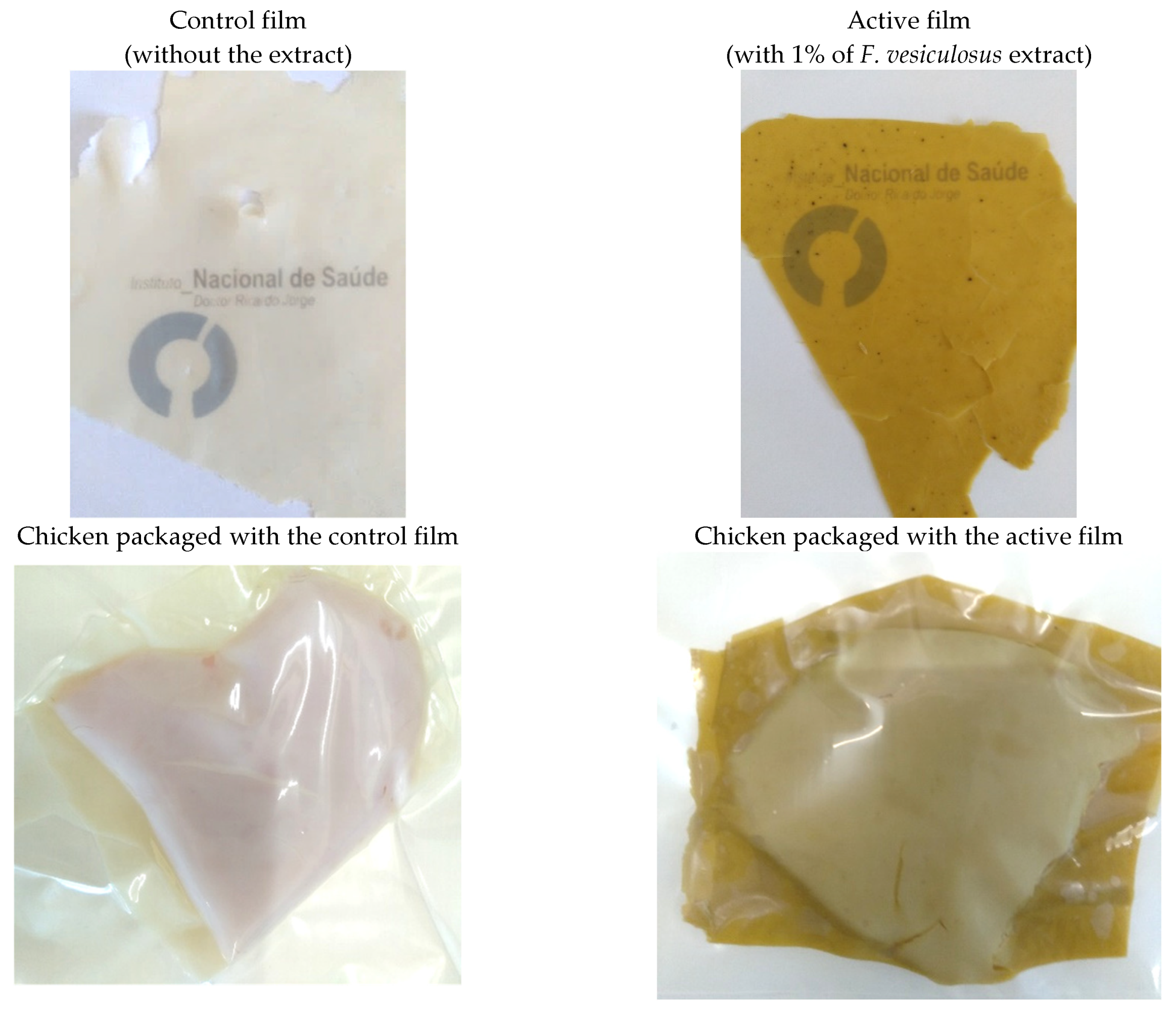 Coatings 11 00229 g001