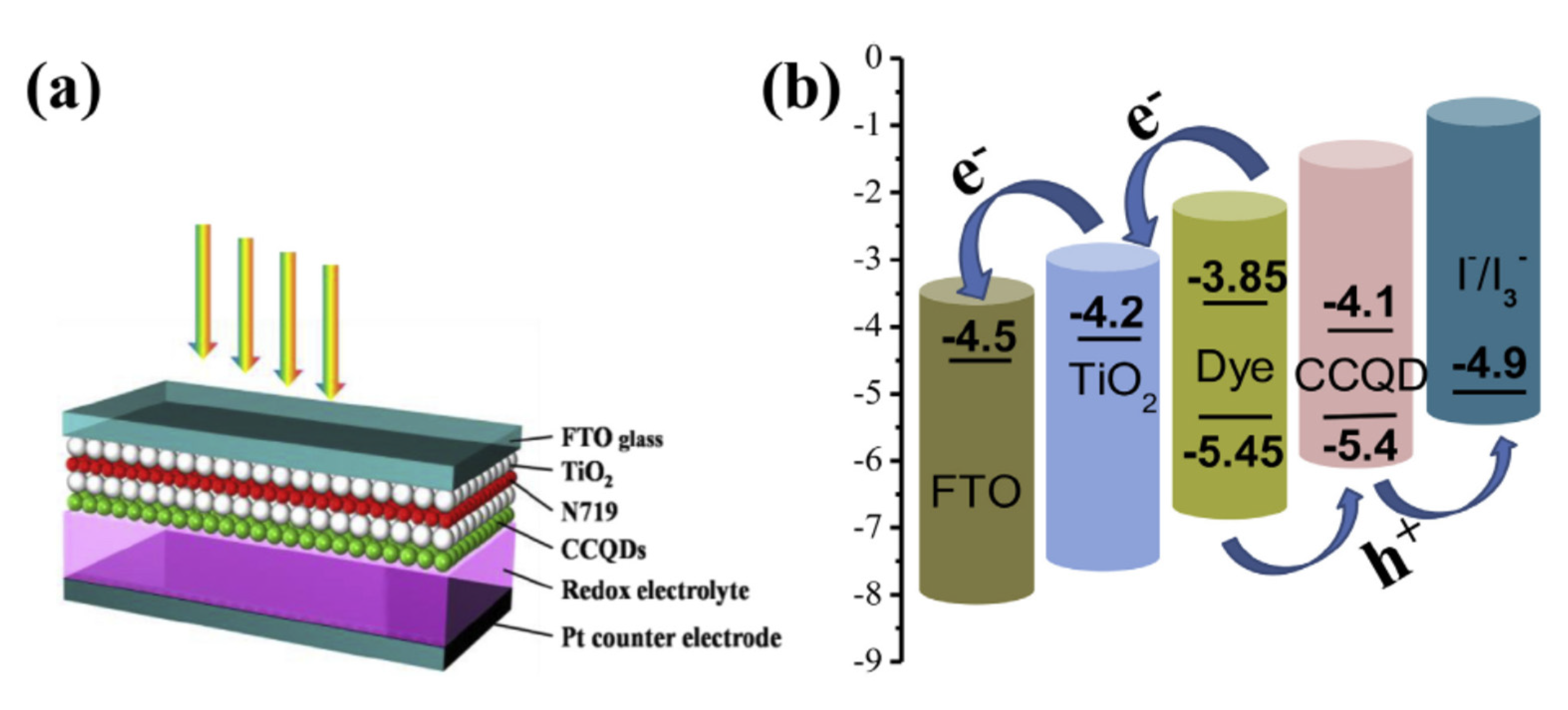 Coatings 11 00232 g013