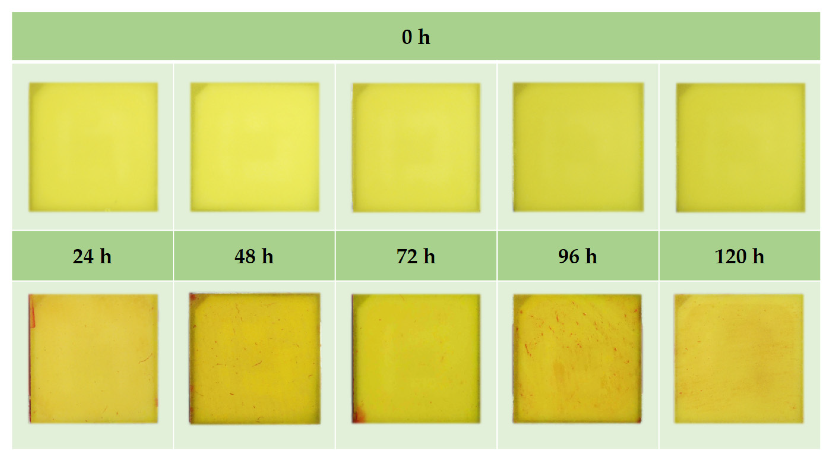 Coatings 11 00239 g008
