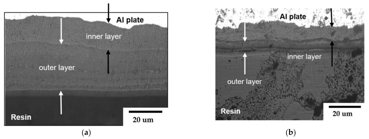 Coatings 11 00240 g005