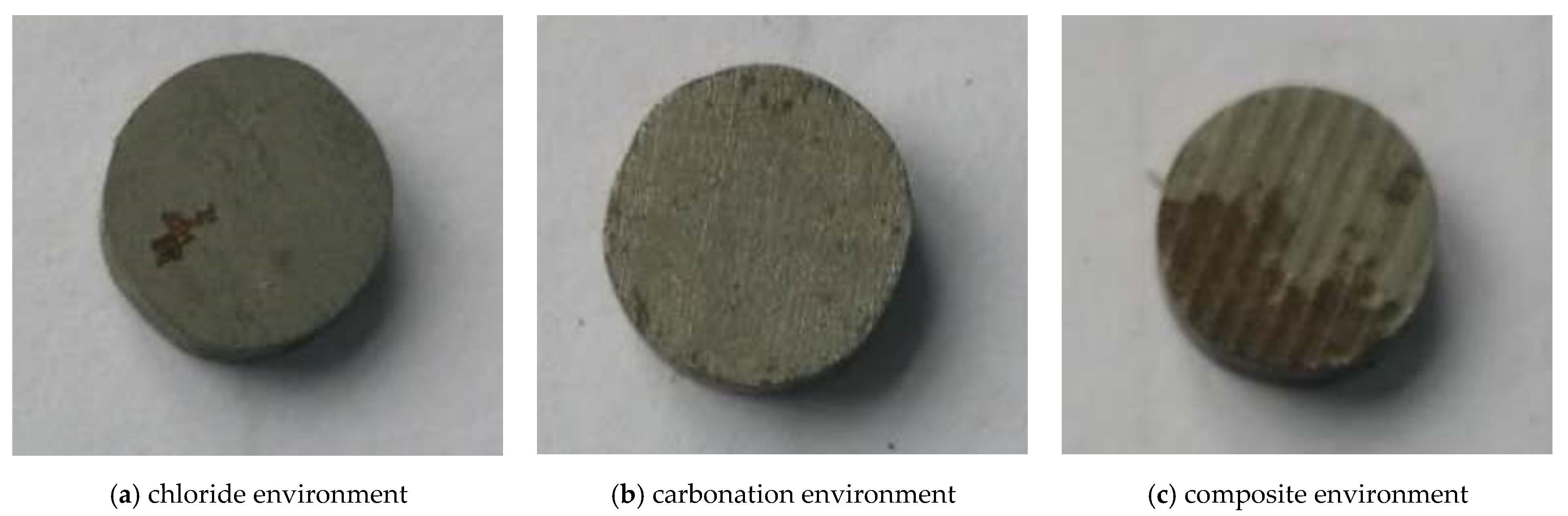 Coatings 11 00241 g002