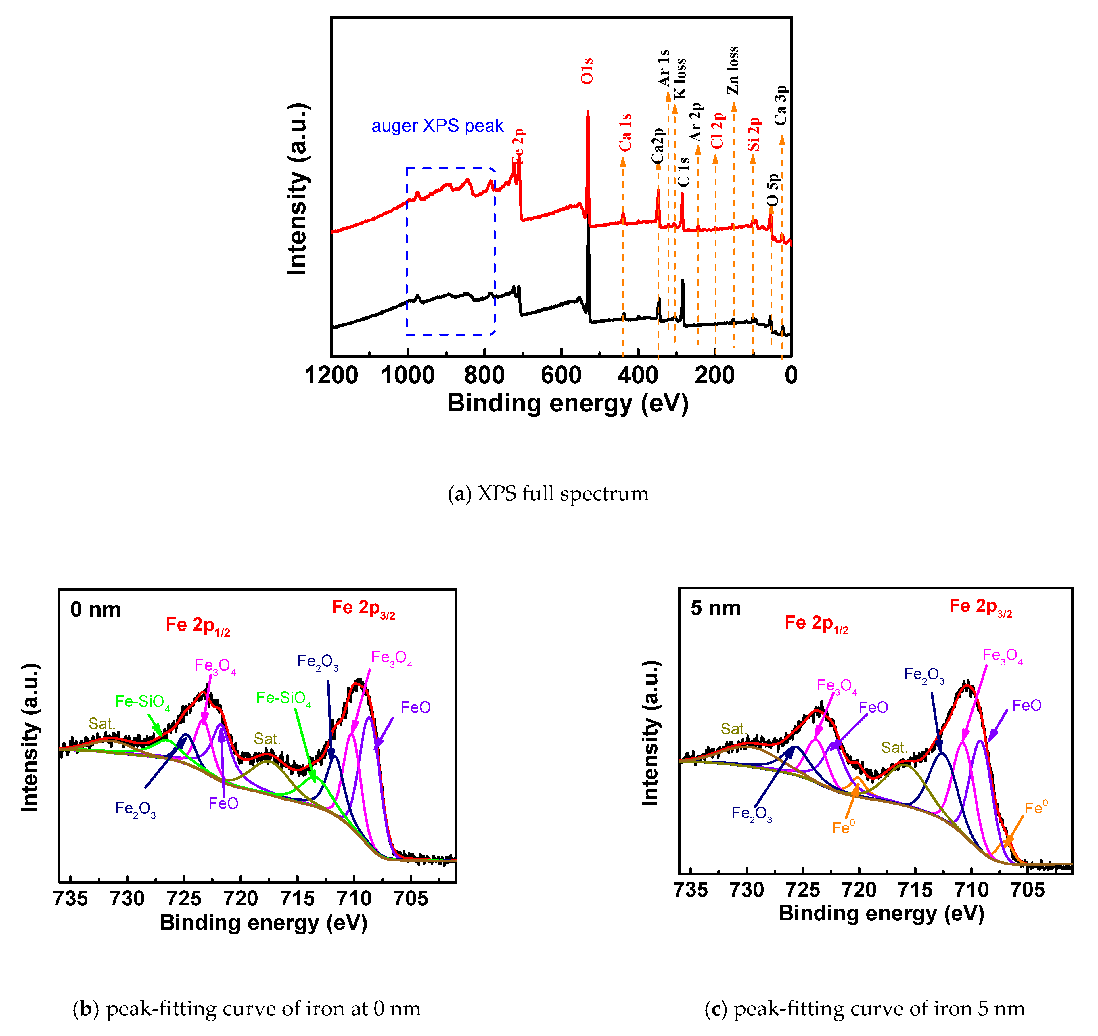 Coatings 11 00241 g005