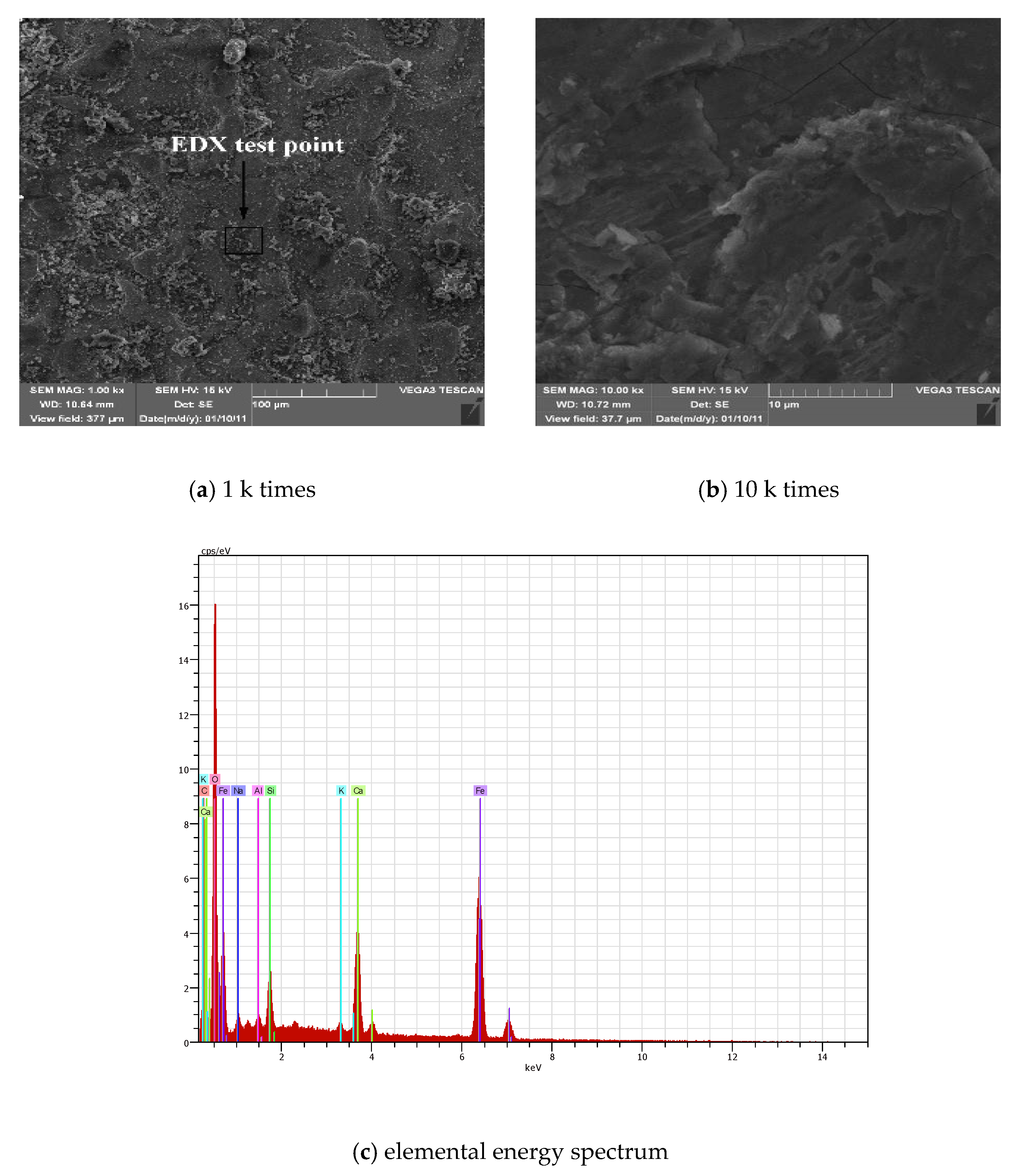 Coatings 11 00241 g008