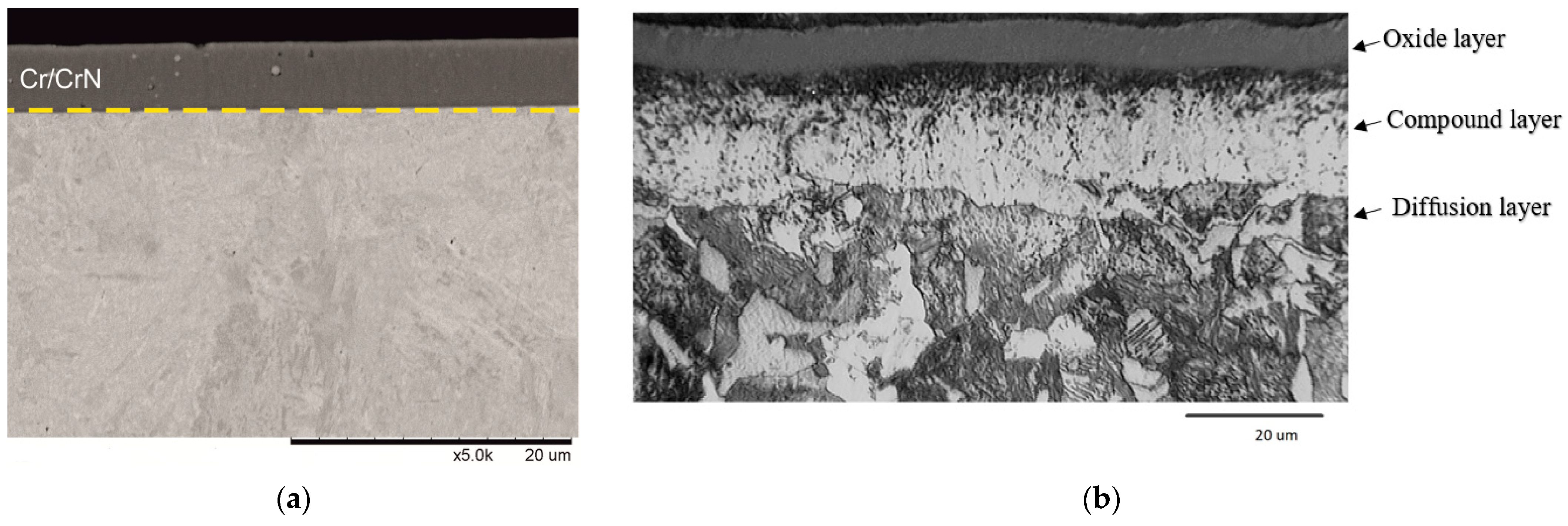 Coatings 11 00242 g003 Coatings 11 00242 g003
