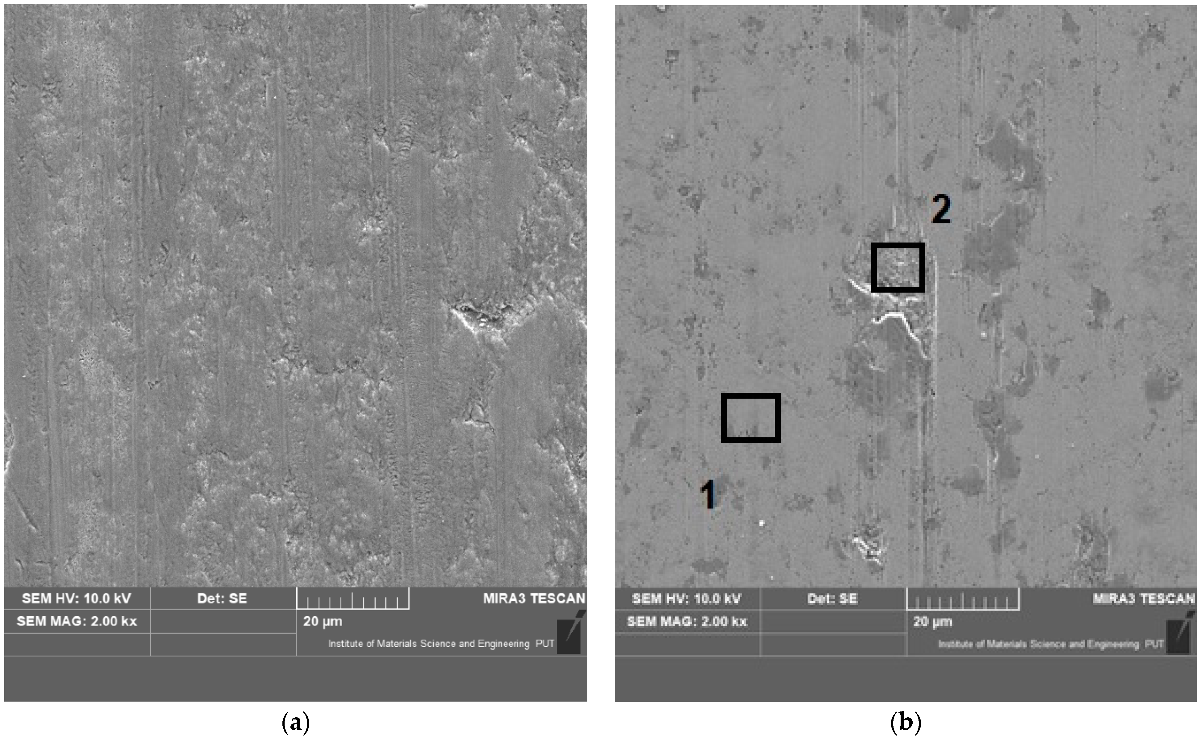 Coatings 11 00242 g009a Coatings 11 00242 g009a