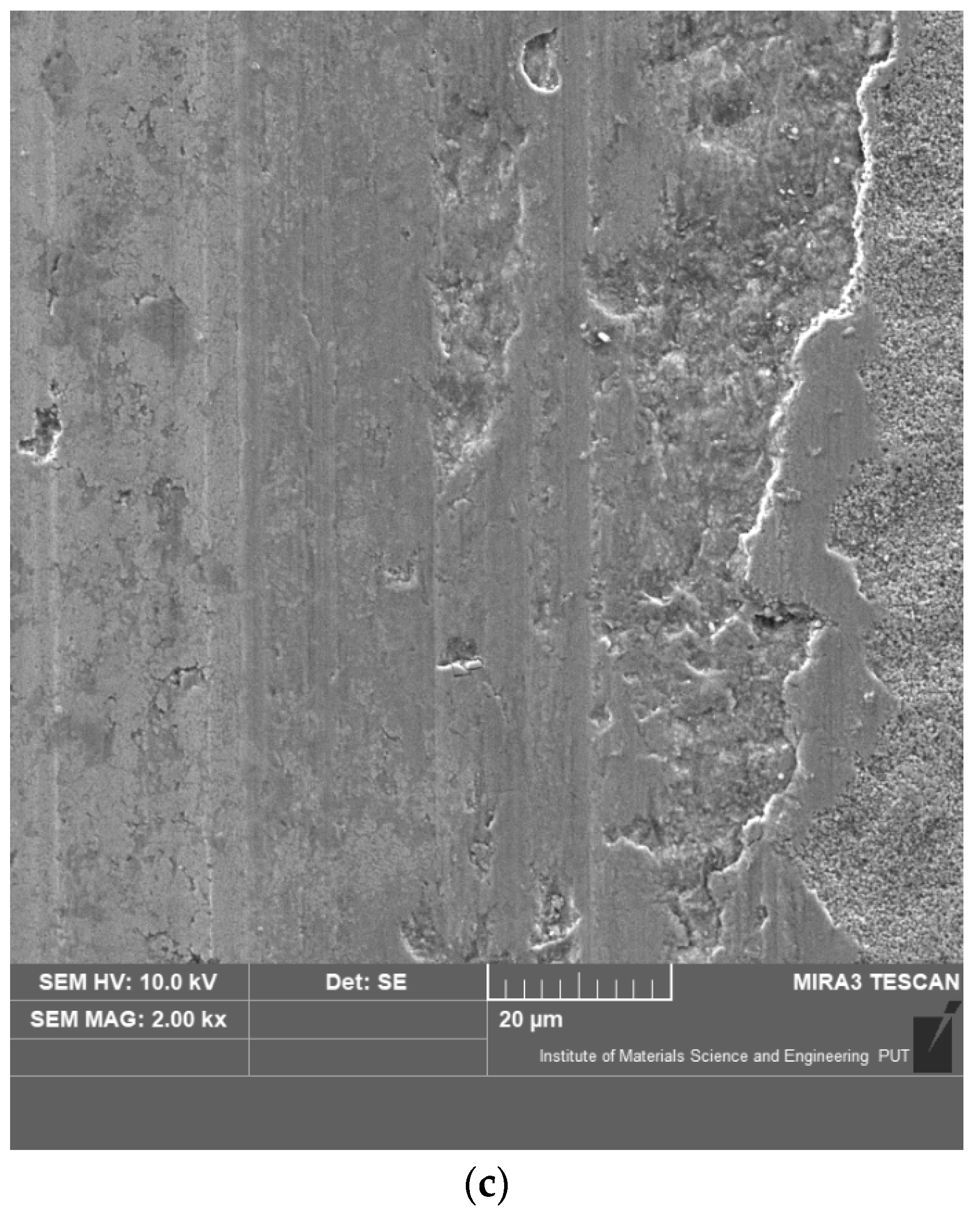 Coatings 11 00242 g009b Coatings 11 00242 g009b
