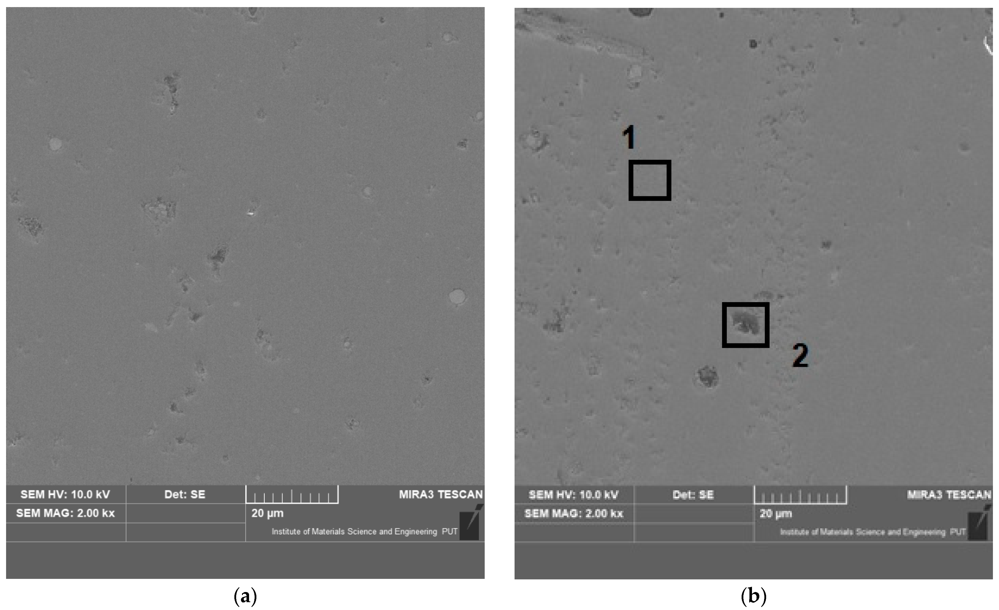 Coatings 11 00242 g010a Coatings 11 00242 g010a