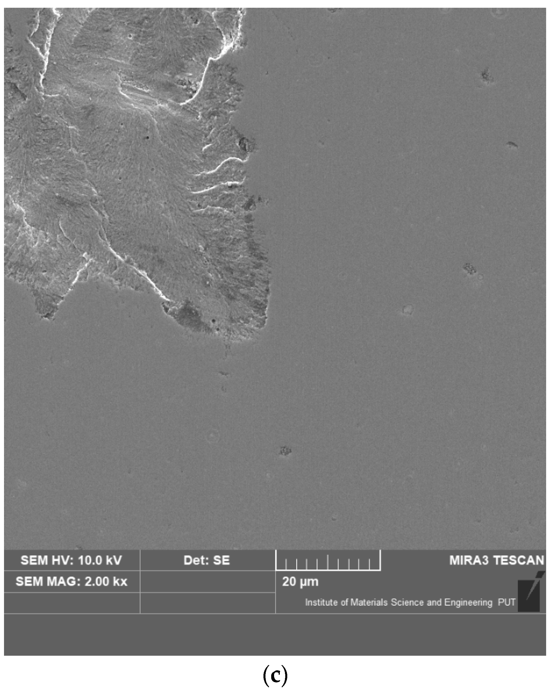 Coatings 11 00242 g010b Coatings 11 00242 g010b