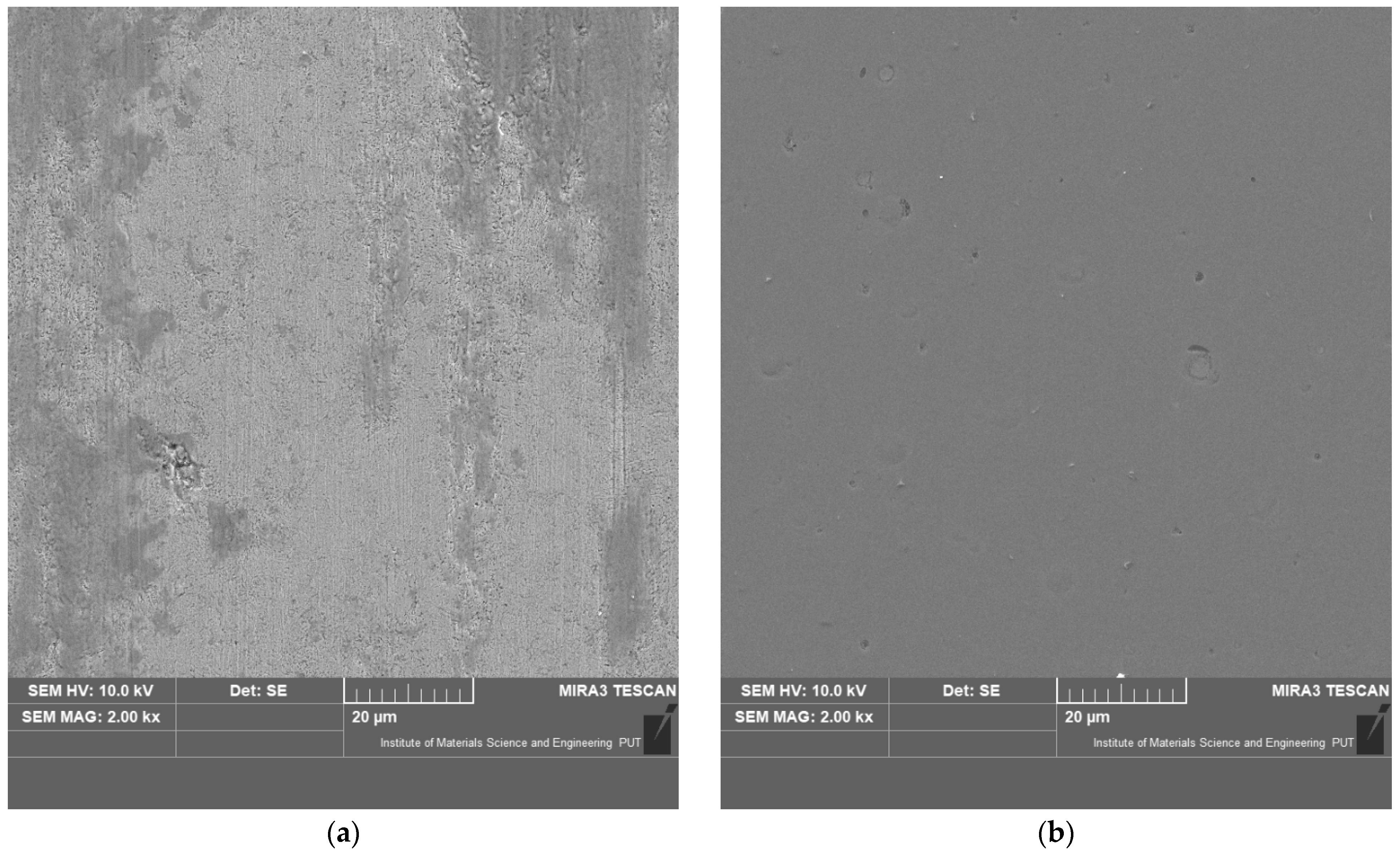 Coatings 11 00242 g013 Coatings 11 00242 g013