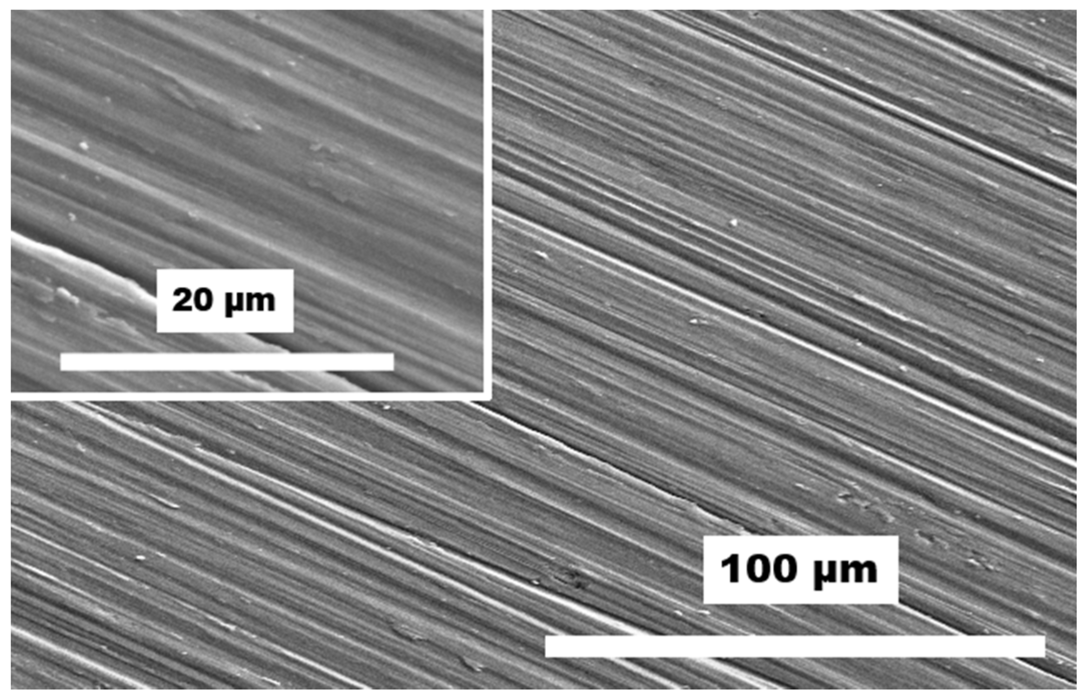 Coatings 11 00243 g001