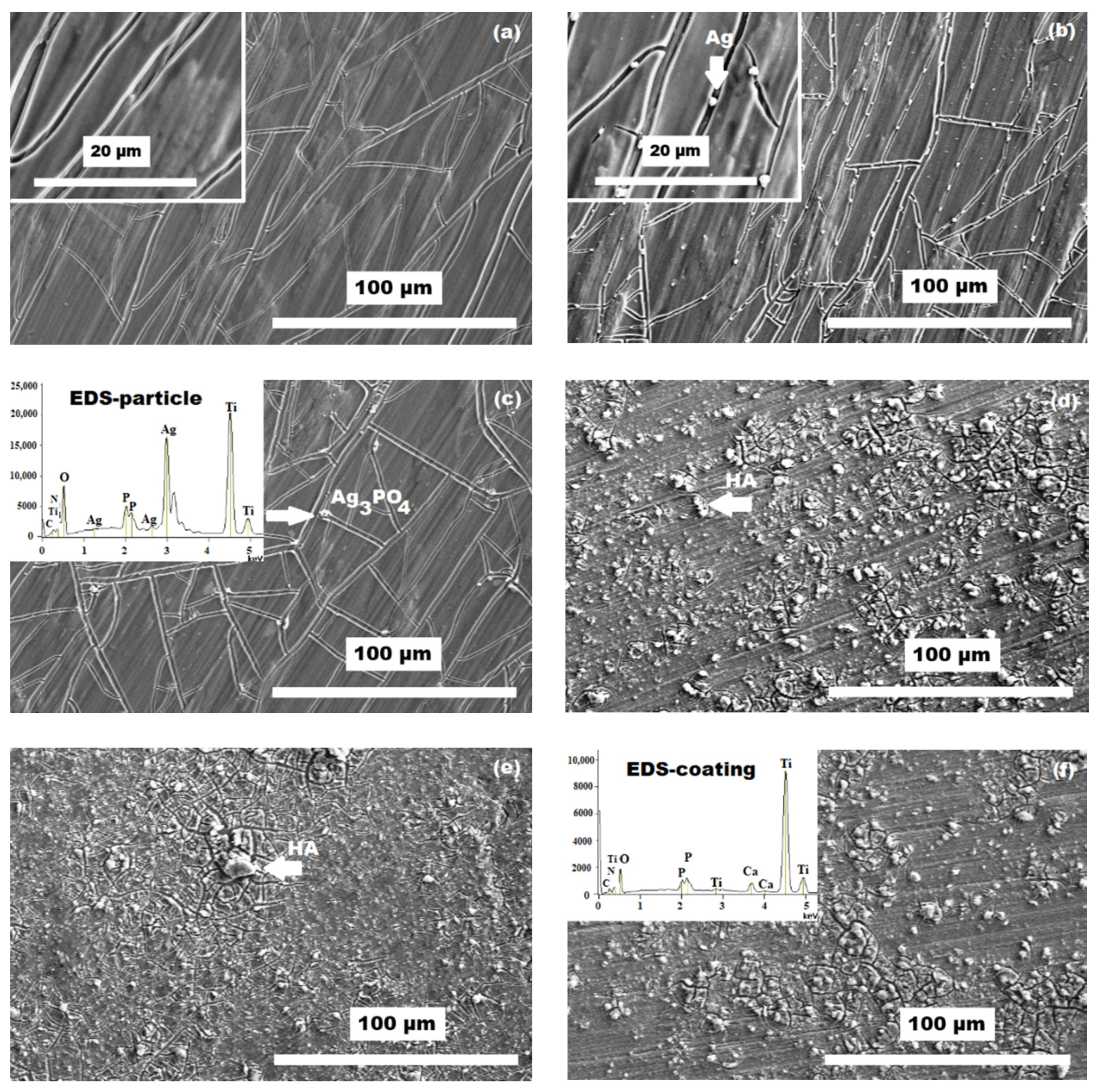 Coatings 11 00243 g002