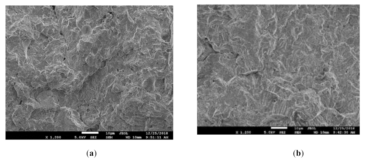 Coatings 11 00245 g007a