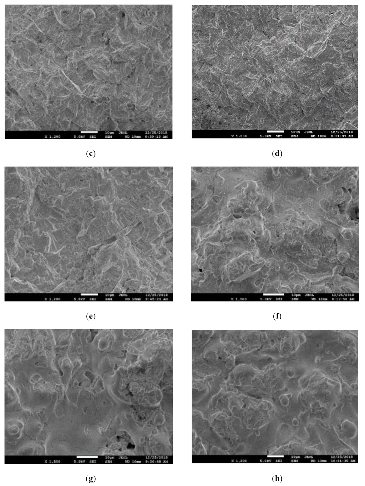 Coatings 11 00245 g007b