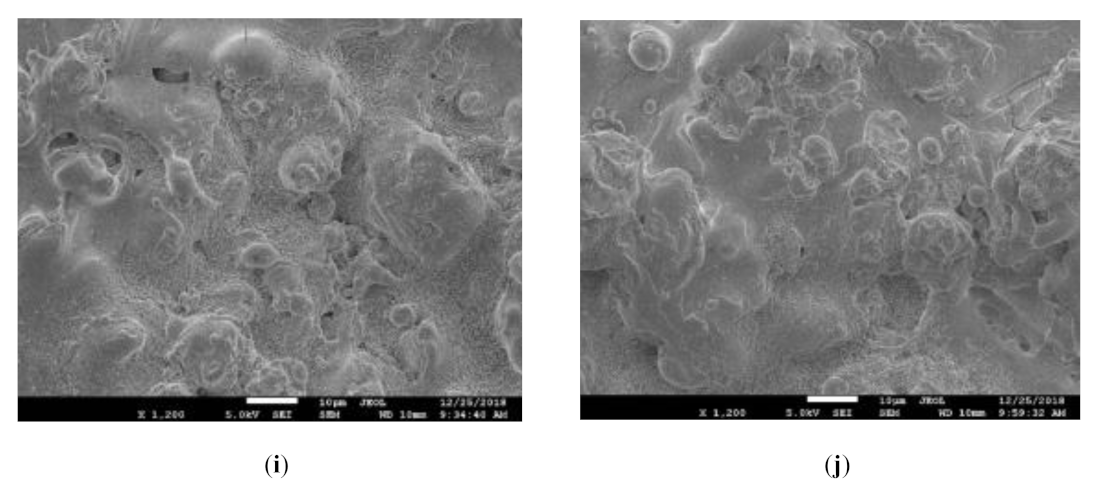 Coatings 11 00245 g007c