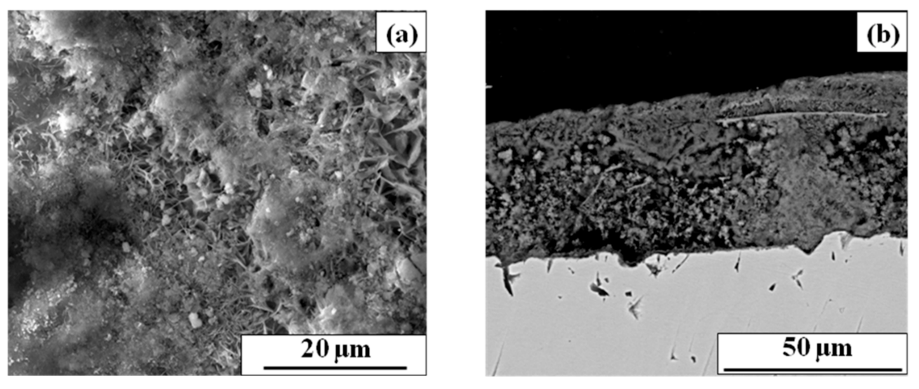 Coatings 11 00246 g003 Coatings 11 00246 g003