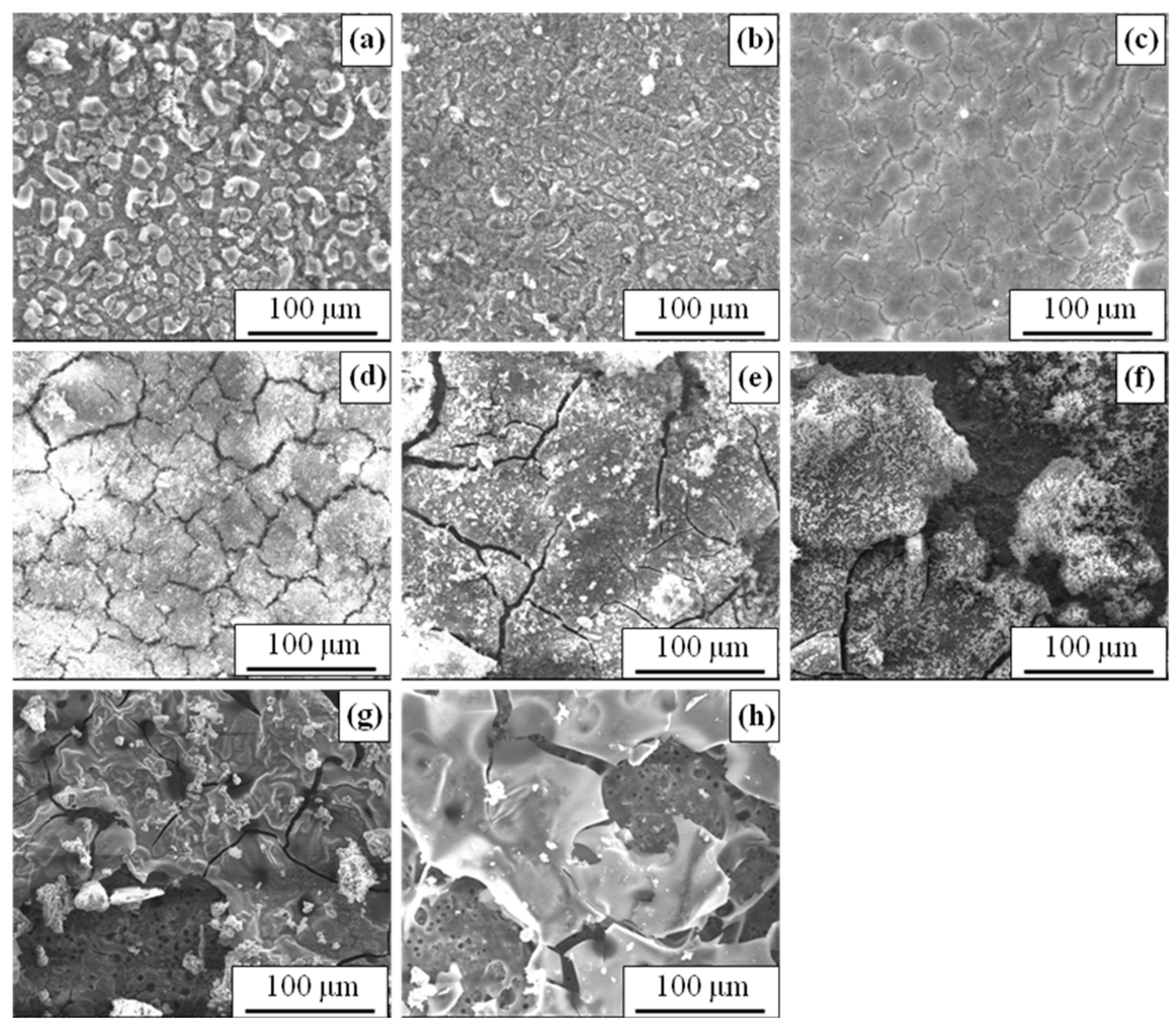 Coatings 11 00246 g004 Coatings 11 00246 g004