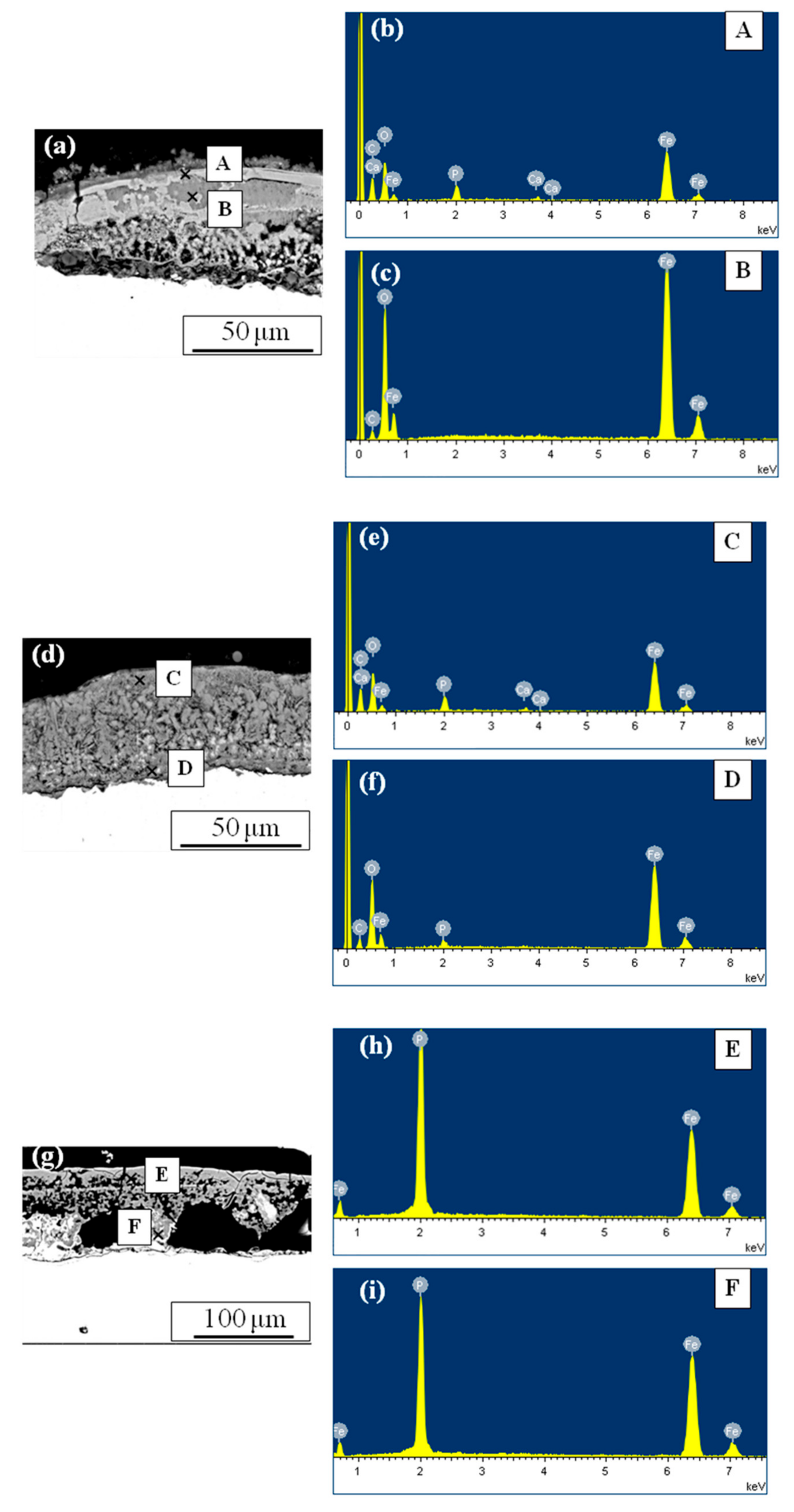 Coatings 11 00246 g005 Coatings 11 00246 g005