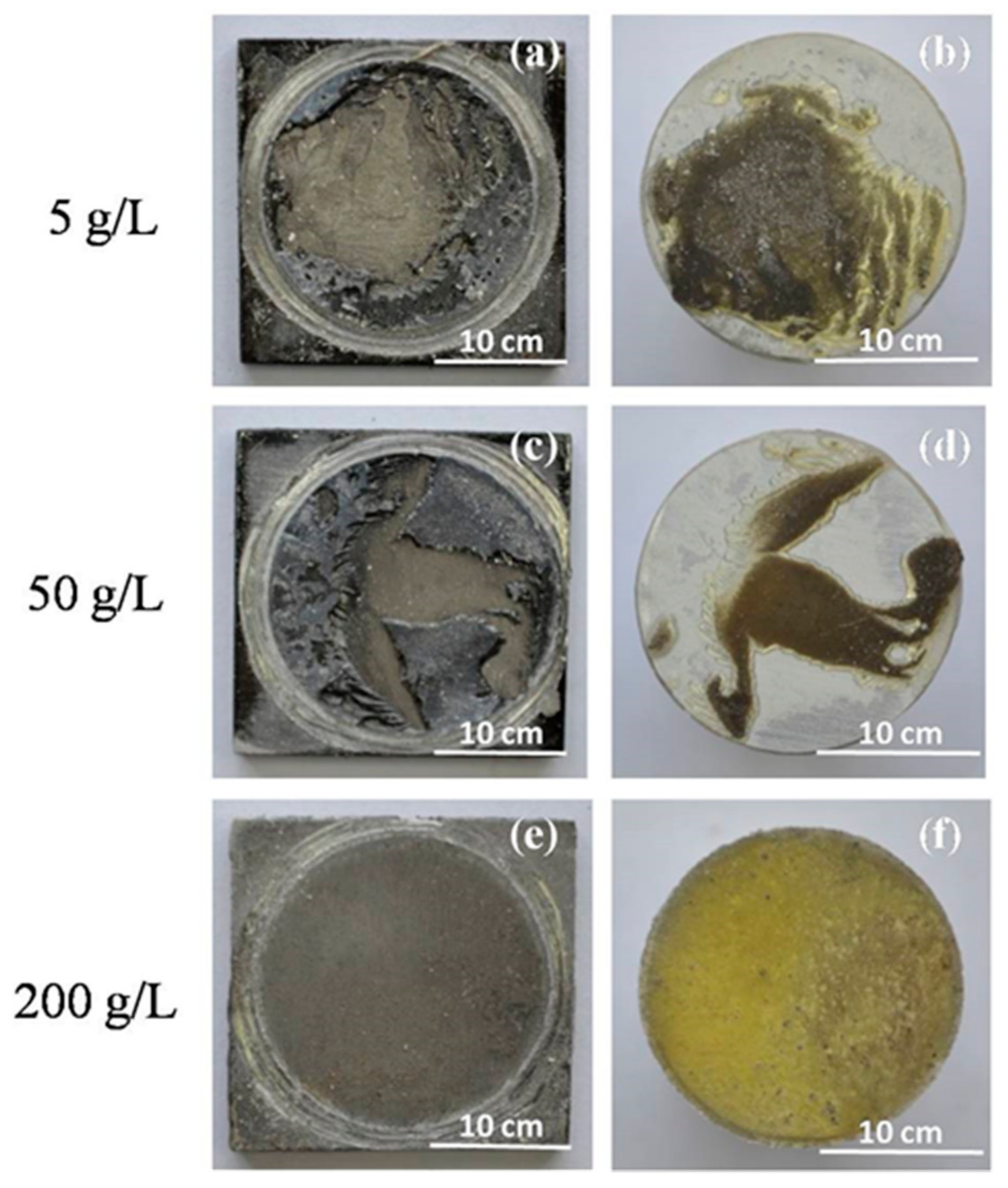 Coatings 11 00246 g007 Coatings 11 00246 g007