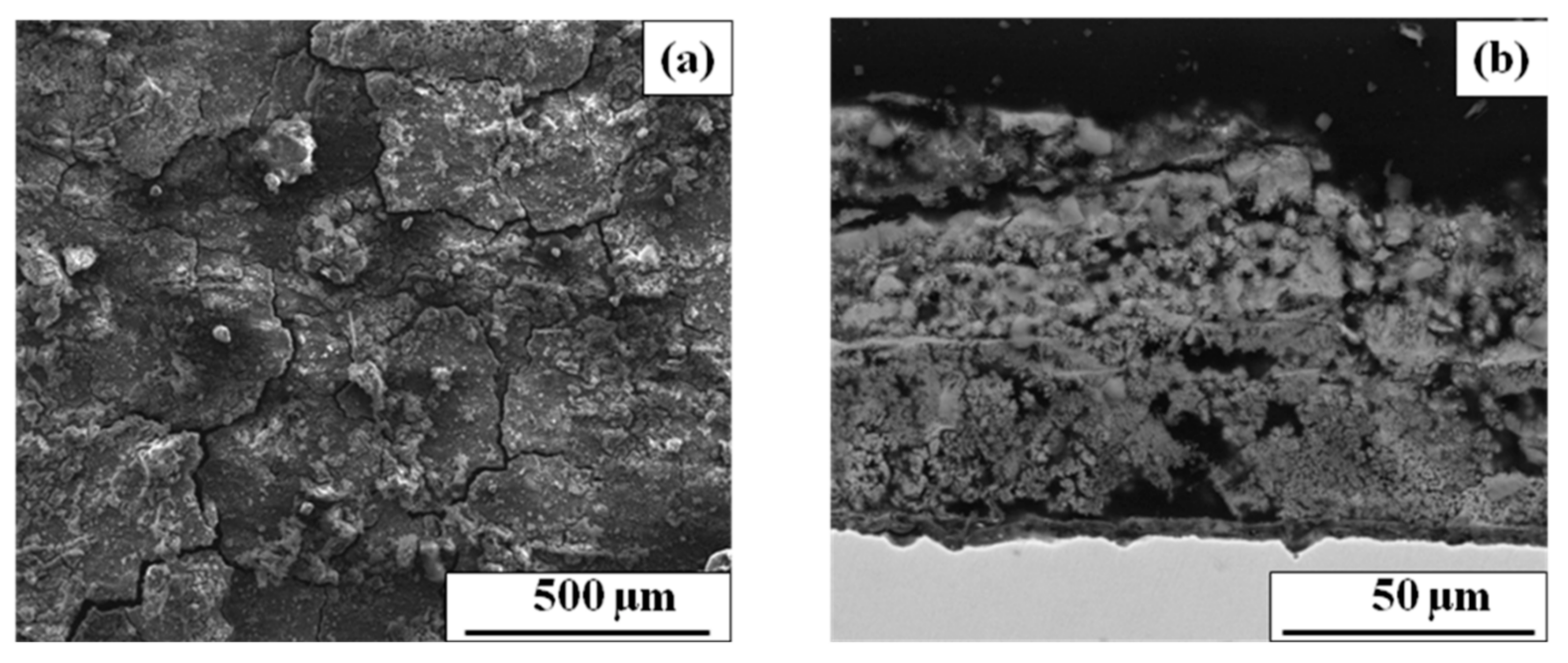 Coatings 11 00246 g010 Coatings 11 00246 g010
