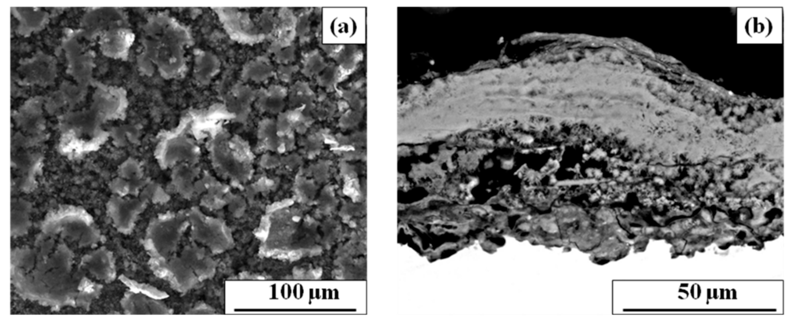 Coatings 11 00246 g011 Coatings 11 00246 g011